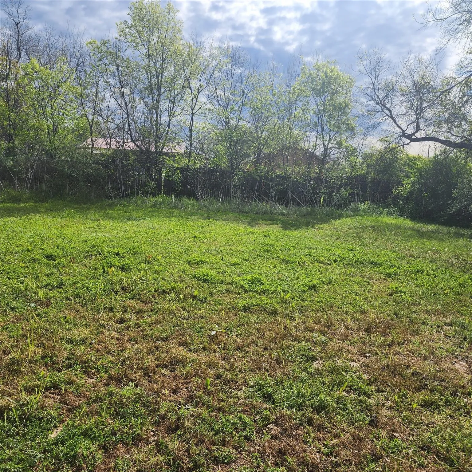 Unimproved Land For Sale in Hunt County , 2927 Wellington Street, Greenville, Texas 75401, 0, 0, Garage spaces, 0 Sqft, built in 0, Price $49,500, mls#21173336, Real Estate Agent in Greenville, Homes For Sale in Hunt county, Homes For Sale in Greenville, Realtor in Greenville Texas, Real Estate Brokerage Independent Realty Texas, Luminita Cordes Realtor