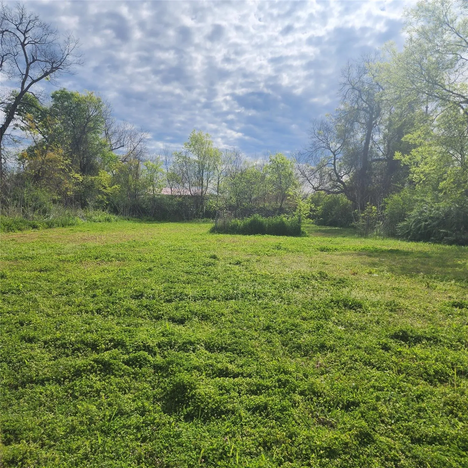 Unimproved Land For Sale in Hunt County , 2927 Wellington Street, Greenville, Texas 75401, 0, 0, Garage spaces, 0 Sqft, built in 0, Price $49,500, mls#21173336, Real Estate Agent in Greenville, Homes For Sale in Hunt county, Homes For Sale in Greenville, Realtor in Greenville Texas, Real Estate Brokerage Independent Realty Texas, Luminita Cordes Realtor