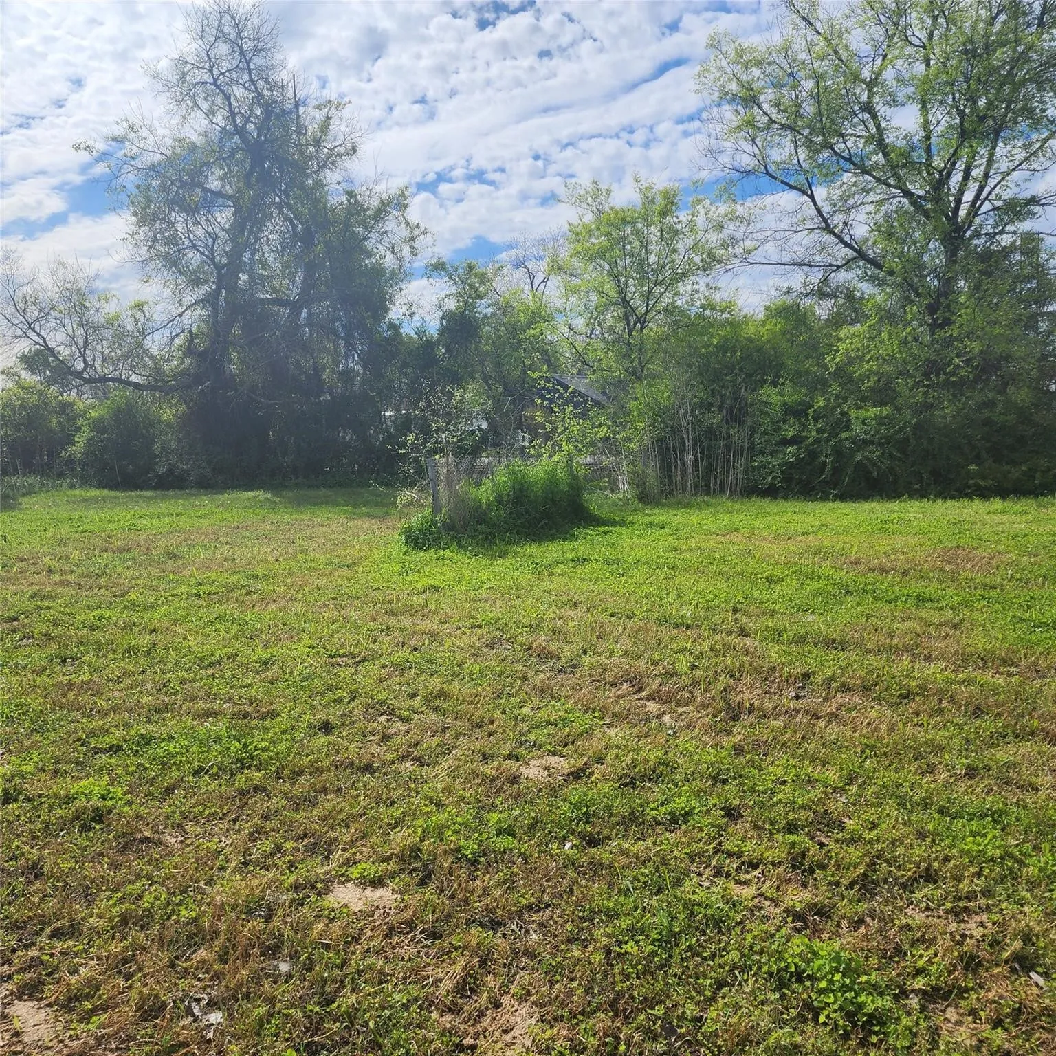 Unimproved Land For Sale in Hunt County , 2927 Wellington Street, Greenville, Texas 75401, 0, 0, Garage spaces, 0 Sqft, built in 0, Price $49,500, mls#21173336, Real Estate Agent in Greenville, Homes For Sale in Hunt county, Homes For Sale in Greenville, Realtor in Greenville Texas, Real Estate Brokerage Independent Realty Texas, Luminita Cordes Realtor
