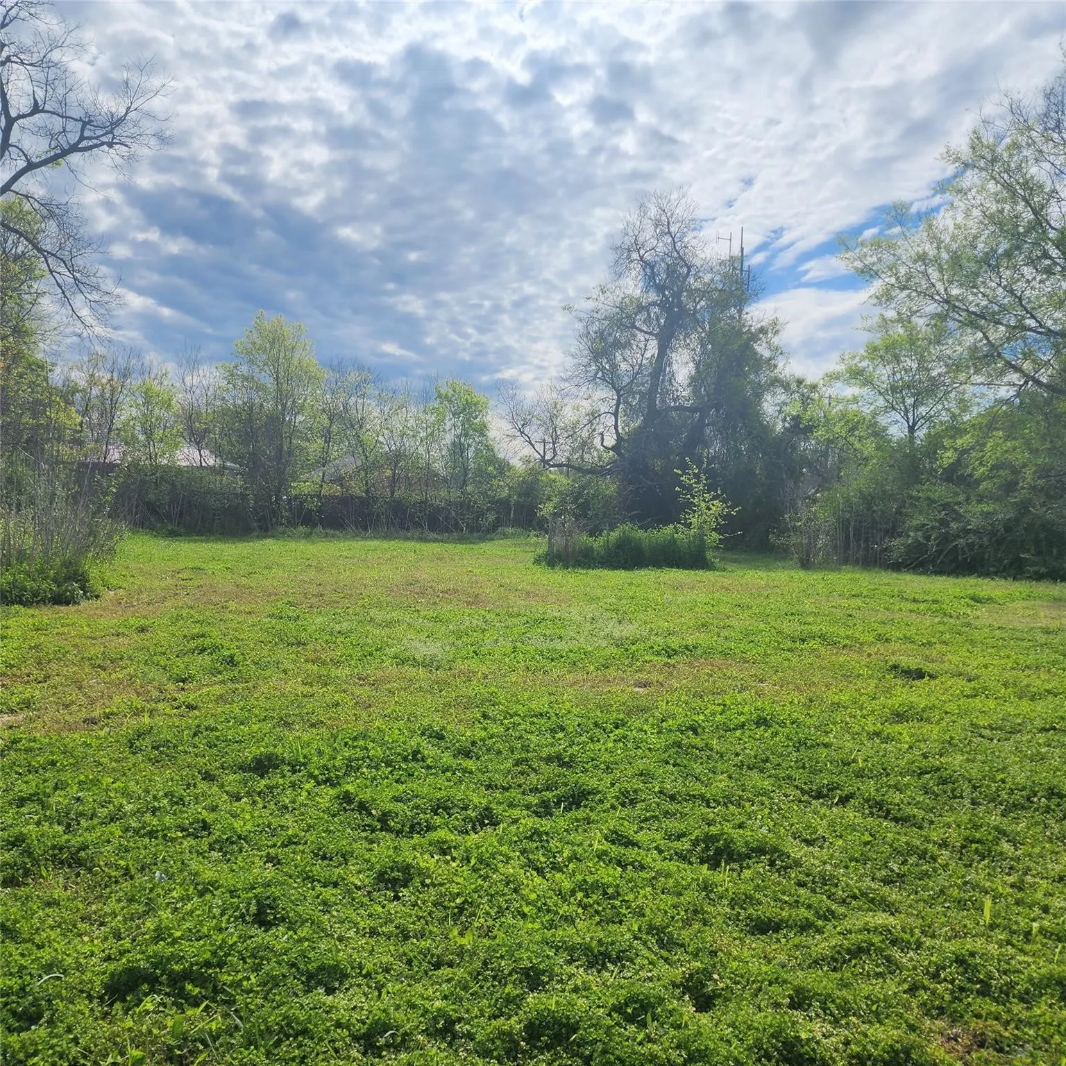Unimproved Land For Sale in Hunt County , 2927 Wellington Street, Greenville, Texas 75401, 0, 0, Garage spaces, 0 Sqft, built in 0, Price $49,500, mls#21173336, Real Estate Agent in Greenville, Homes For Sale in Hunt county, Homes For Sale in Greenville, Realtor in Greenville Texas, Real Estate Brokerage Independent Realty Texas, Luminita Cordes Realtor