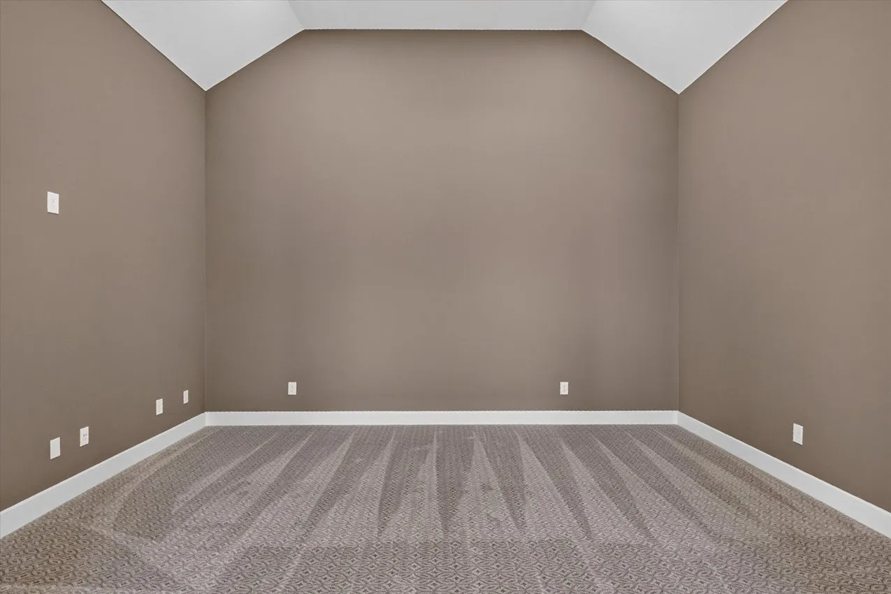 Entertainment Room