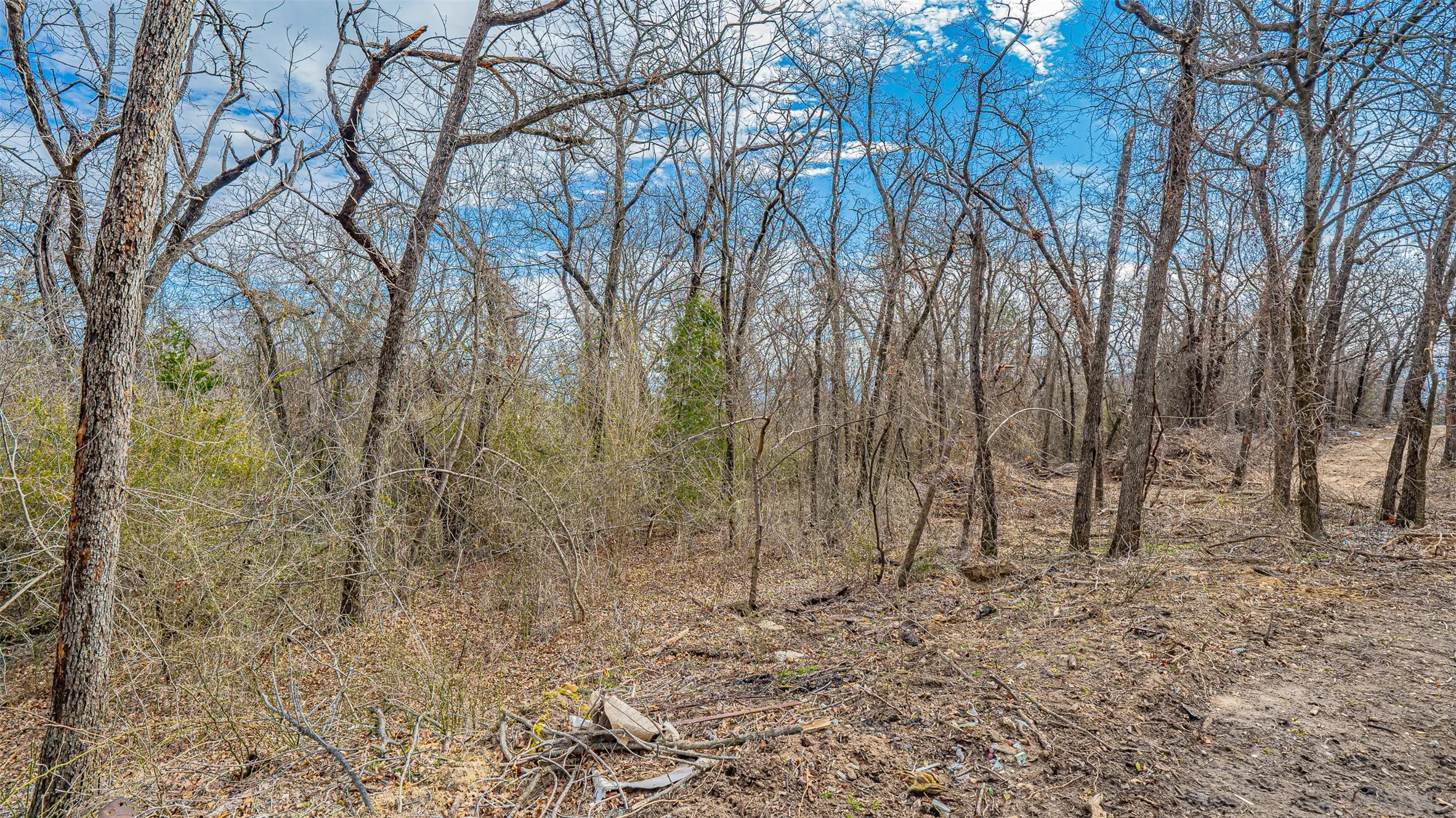 Unimproved Land For Sale in Parker County , TBD Conwell Drive, Azle, Texas 76020, 0, 0, Garage spaces, 0 Sqft, built in 0, mls#21177024, Real Estate Agent in Azle, Homes For Sale in Parker county, Homes For Sale in Azle, Realtor in Azle Texas, Real Estate Brokerage Independent Realty Texas, Luminita Cordes Realtor