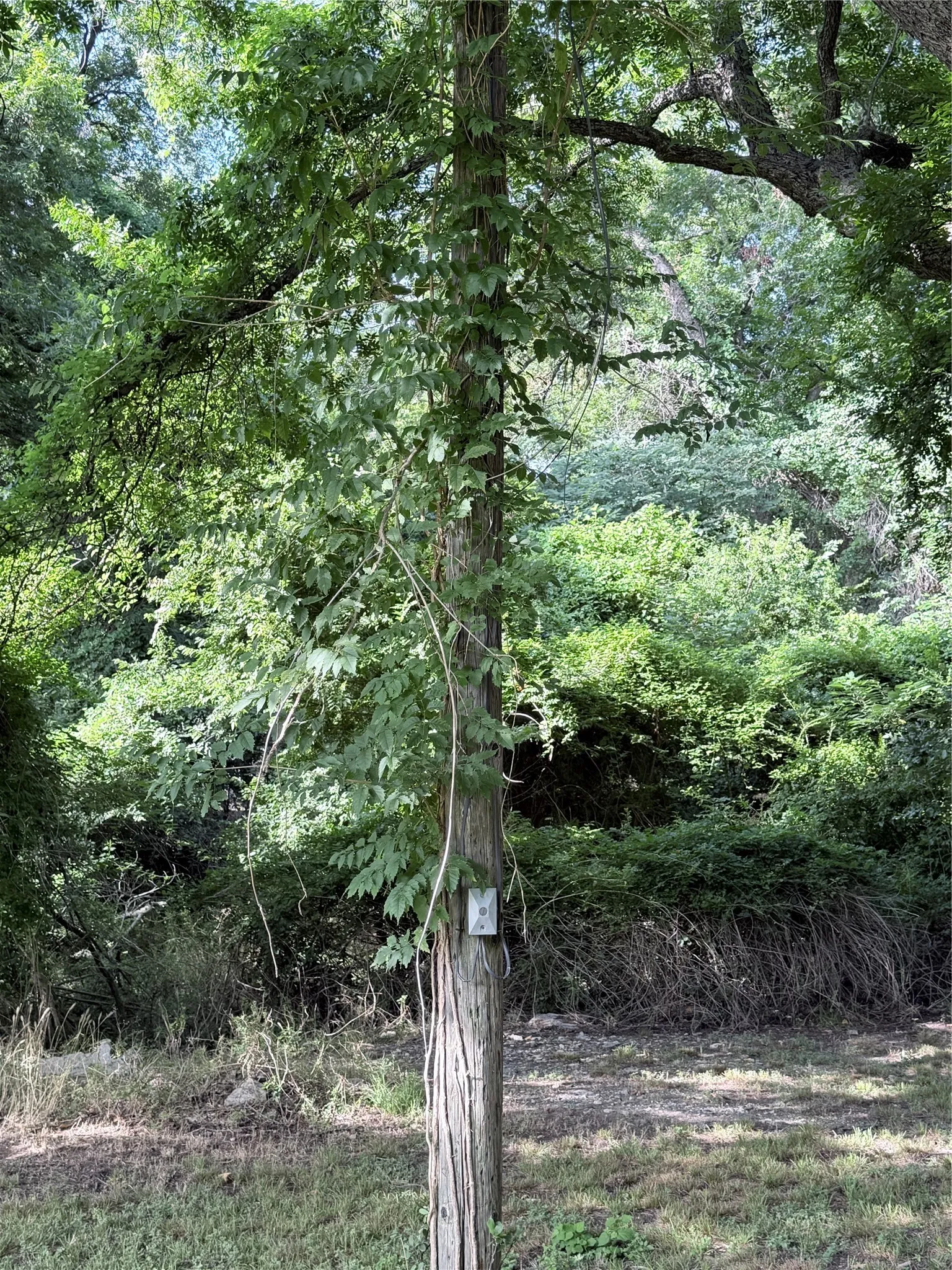 Improved Land For Sale in Hamilton County , 313 N Cage Street, Hamilton, Texas 76531, 0, 0, Garage spaces, 0 Sqft, built in 0, Price $44,900, mls#21177094, Real Estate Agent in Hamilton, Homes For Sale in Hamilton county, Homes For Sale in Hamilton, Realtor in Hamilton Texas, Real Estate Brokerage Independent Realty Texas, Luminita Cordes Realtor