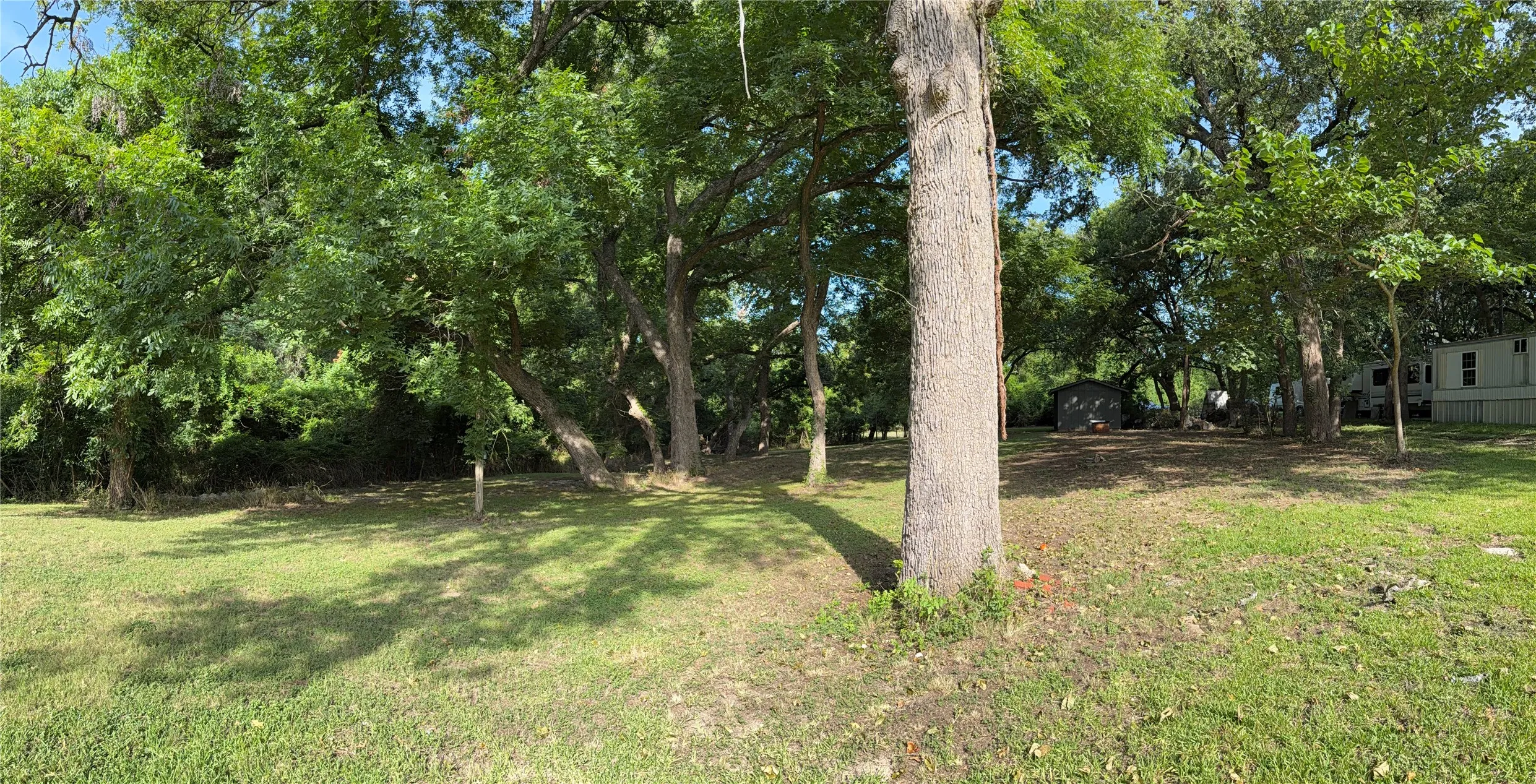 Expansive lot featuring mature trees and established greenery