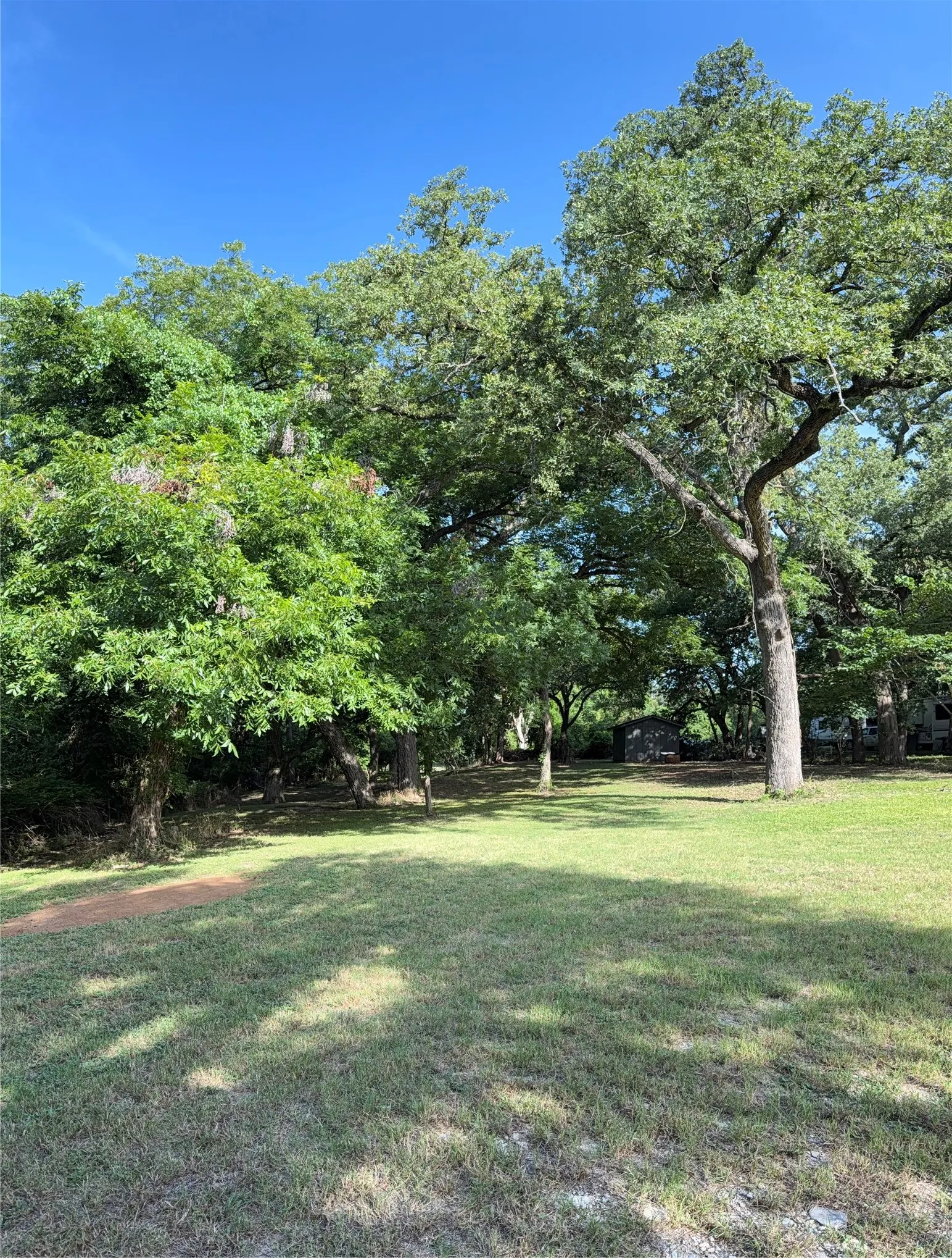 Expansive grassy yard with mature trees providing ample shade