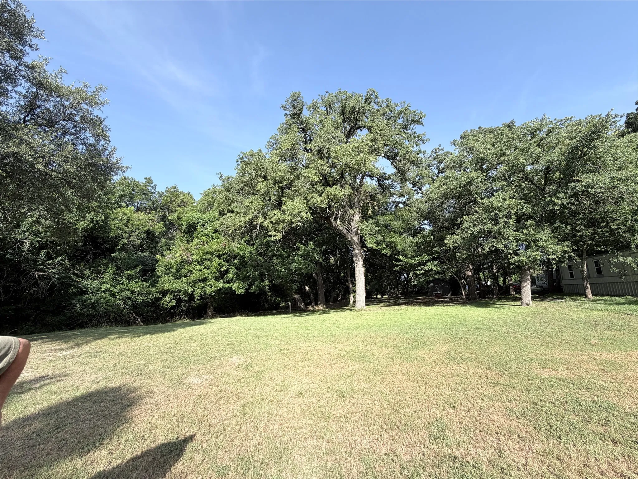 Expansive grassy area surrounded by mature trees, featuring a clear sky overhead
