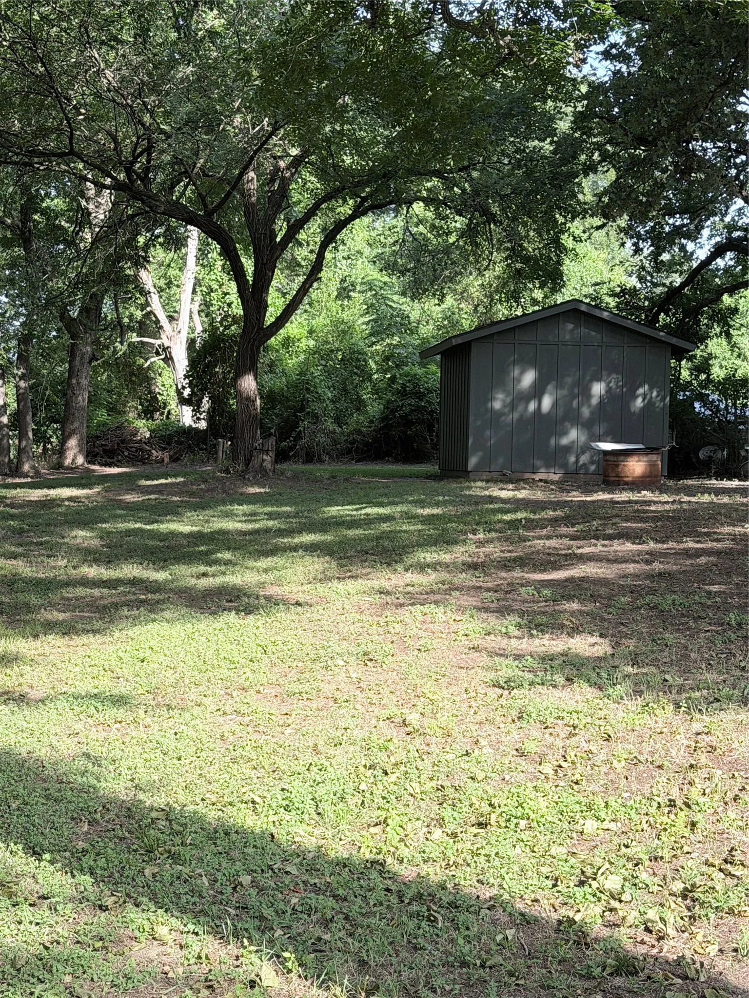 Expansive grassy yard featuring a detached storage shed, mature trees, and natural landscaping