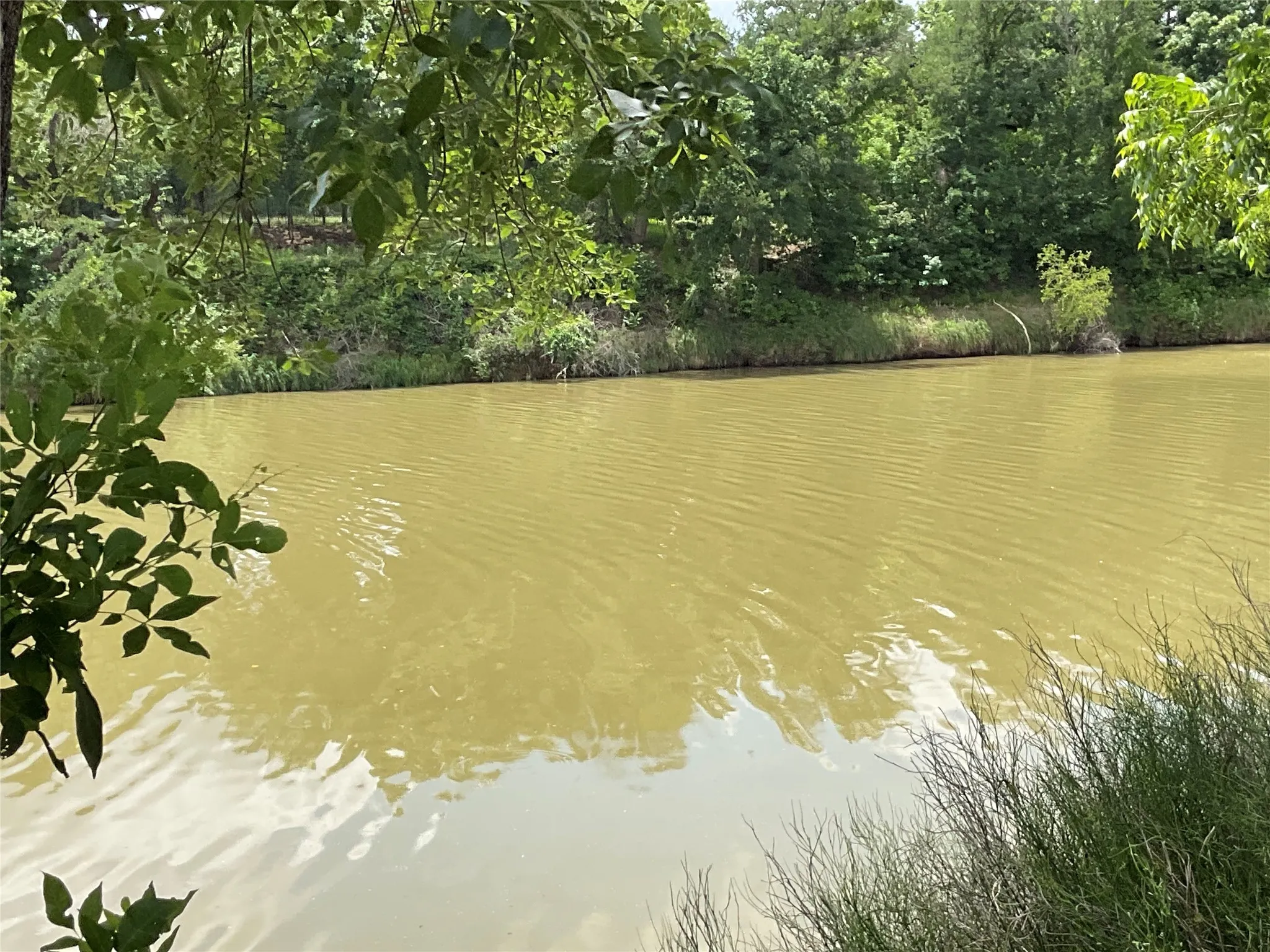 Unimproved Land For Sale in Parker County , TBD Chavez Trail, Weatherford, Texas 76087, 0, 0, Garage spaces, 0 Sqft, built in 0, Price $60,000, mls#21177182, Real Estate Agent in Weatherford, Homes For Sale in Parker county, Homes For Sale in Weatherford, Realtor in Weatherford Texas, Real Estate Brokerage Independent Realty Texas, Luminita Cordes Realtor