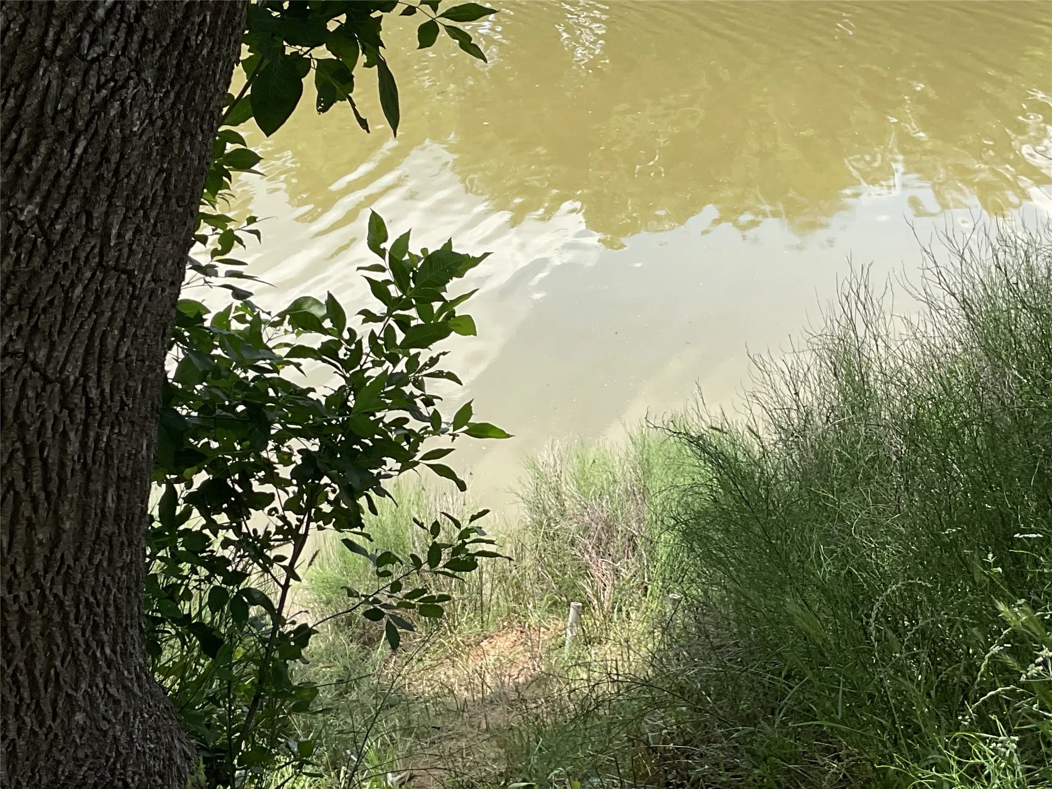Unimproved Land For Sale in Parker County , TBD Chavez Trail, Weatherford, Texas 76087, 0, 0, Garage spaces, 0 Sqft, built in 0, Price $60,000, mls#21177182, Real Estate Agent in Weatherford, Homes For Sale in Parker county, Homes For Sale in Weatherford, Realtor in Weatherford Texas, Real Estate Brokerage Independent Realty Texas, Luminita Cordes Realtor