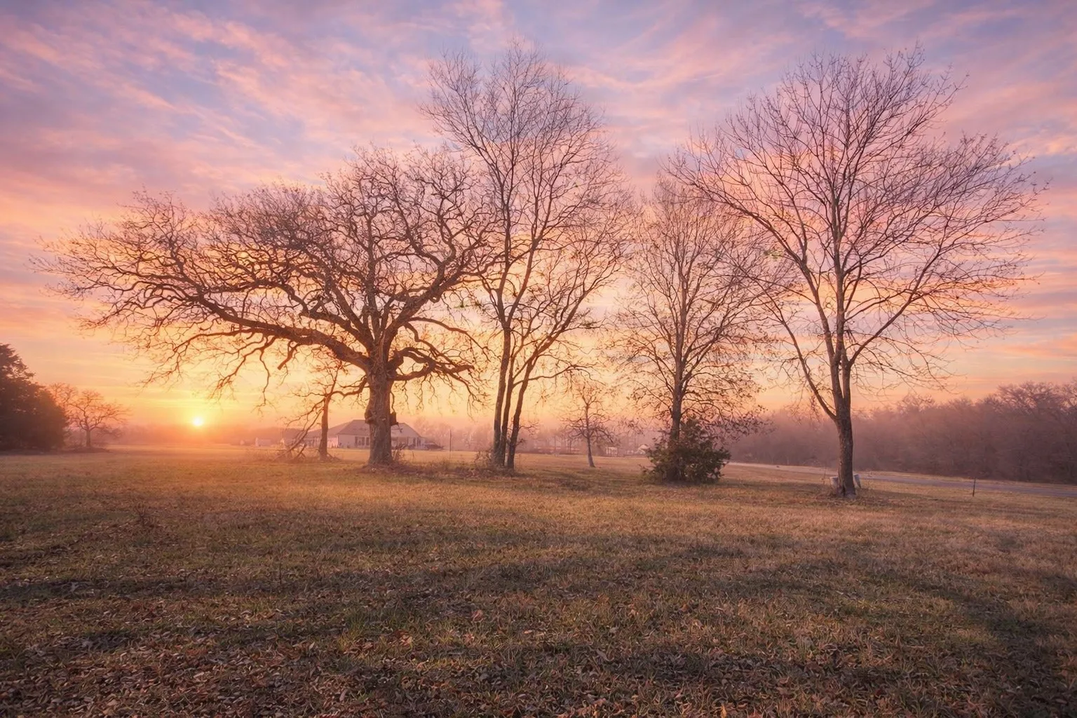 Unimproved Land For Sale in Navarro County , Lot 592 Clear Water Court, Corsicana, Texas 75109, 0, 0, Garage spaces, 0 Sqft, built in 0, Price $70,000, mls#21176074, Real Estate Agent in Corsicana, Homes For Sale in Navarro county, Homes For Sale in Corsicana, Realtor in Corsicana Texas, Real Estate Brokerage Independent Realty Texas, Luminita Cordes Realtor