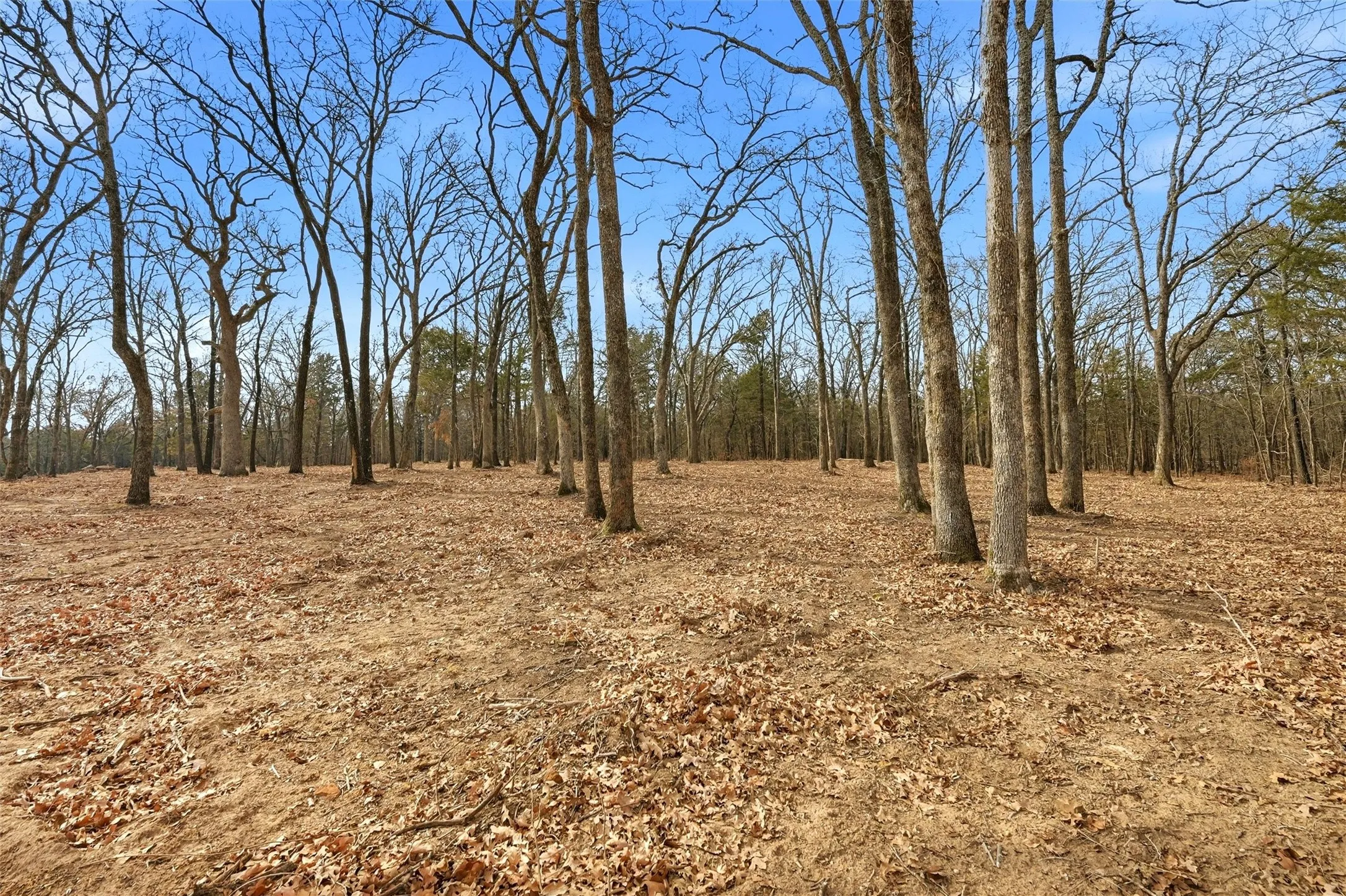 Improved Land For Sale in Grayson County , LOT 27 White Tail Way, Pottsboro, Texas 75076, 0, 0, Garage spaces, 0 Sqft, built in 0, Price $199,000, mls#21176847, Real Estate Agent in Pottsboro, Homes For Sale in Grayson county, Homes For Sale in Pottsboro, Realtor in Pottsboro Texas, Real Estate Brokerage Independent Realty Texas, Luminita Cordes Realtor