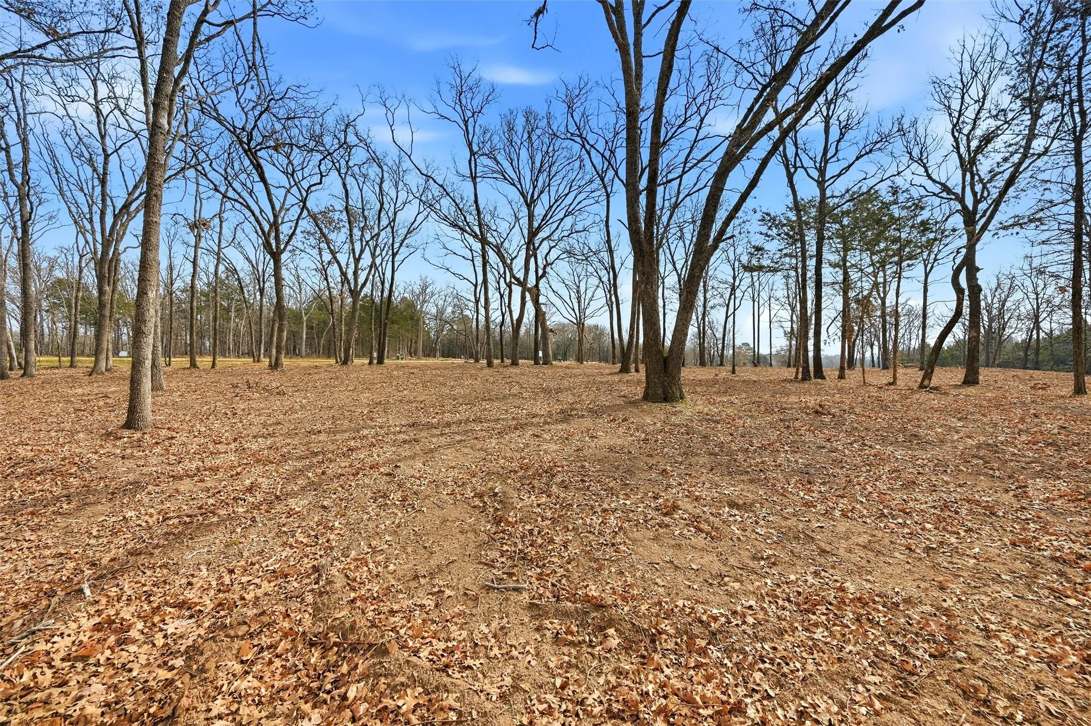 Improved Land For Sale in Grayson County , LOT 27 White Tail Way, Pottsboro, Texas 75076, 0, 0, Garage spaces, 0 Sqft, built in 0, Price $199,000, mls#21176847, Real Estate Agent in Pottsboro, Homes For Sale in Grayson county, Homes For Sale in Pottsboro, Realtor in Pottsboro Texas, Real Estate Brokerage Independent Realty Texas, Luminita Cordes Realtor