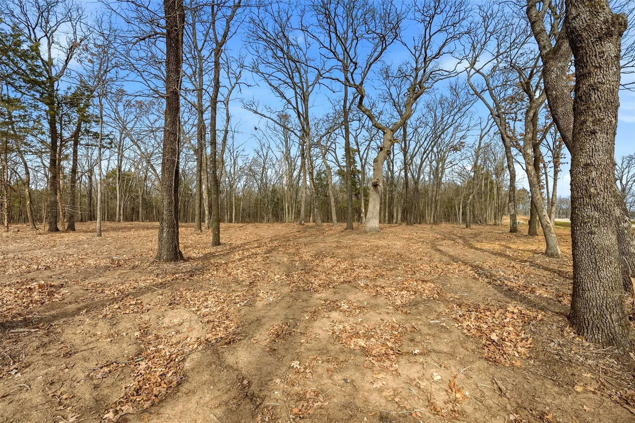 Improved Land For Sale in Grayson County , LOT 27 White Tail Way, Pottsboro, Texas 75076, 0, 0, Garage spaces, 0 Sqft, built in 0, Price $199,000, mls#21176847, Real Estate Agent in Pottsboro, Homes For Sale in Grayson county, Homes For Sale in Pottsboro, Realtor in Pottsboro Texas, Real Estate Brokerage Independent Realty Texas, Luminita Cordes Realtor
