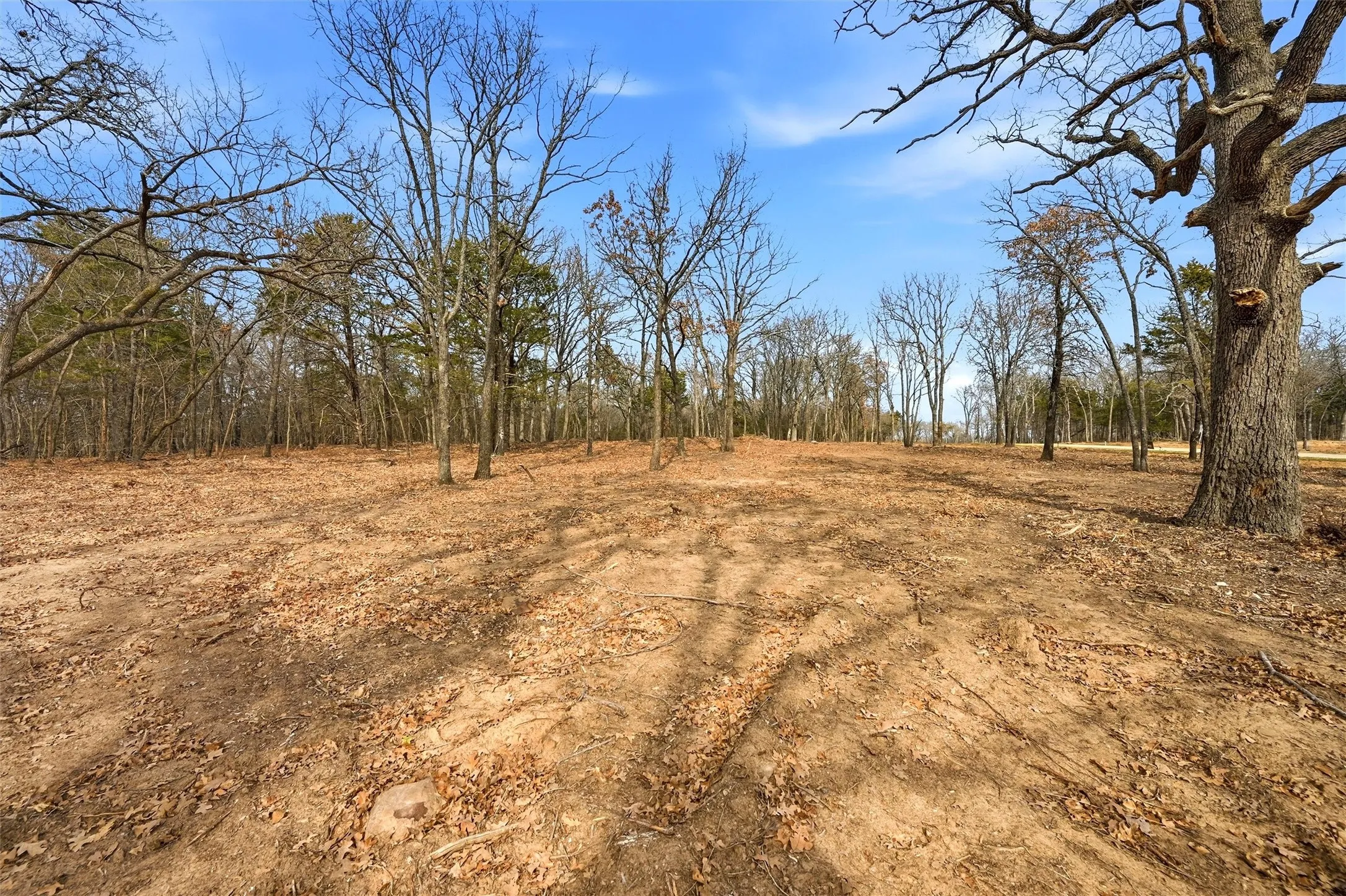 Improved Land For Sale in Grayson County , LOT 27 White Tail Way, Pottsboro, Texas 75076, 0, 0, Garage spaces, 0 Sqft, built in 0, Price $199,000, mls#21176847, Real Estate Agent in Pottsboro, Homes For Sale in Grayson county, Homes For Sale in Pottsboro, Realtor in Pottsboro Texas, Real Estate Brokerage Independent Realty Texas, Luminita Cordes Realtor