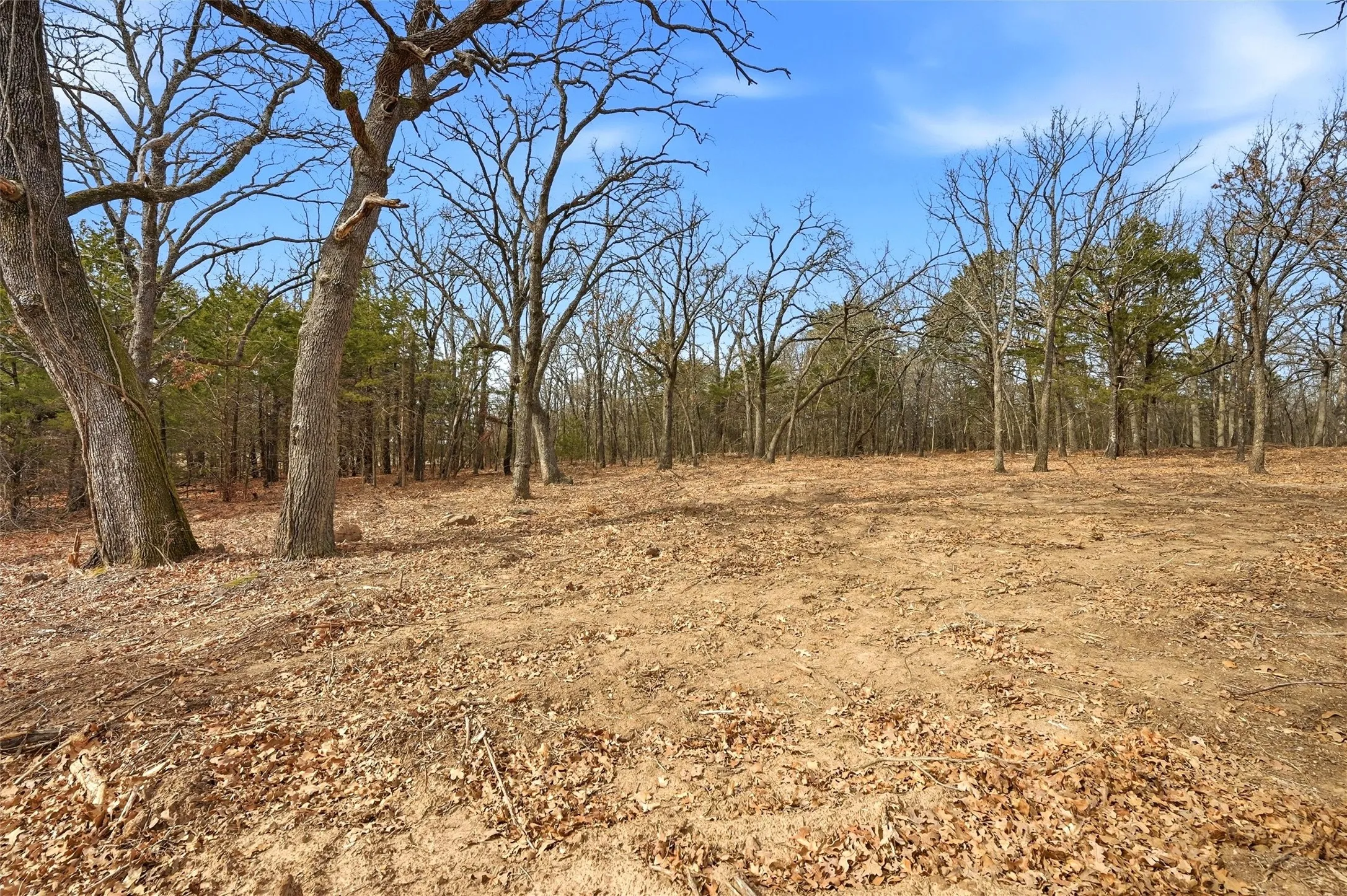Improved Land For Sale in Grayson County , LOT 27 White Tail Way, Pottsboro, Texas 75076, 0, 0, Garage spaces, 0 Sqft, built in 0, Price $199,000, mls#21176847, Real Estate Agent in Pottsboro, Homes For Sale in Grayson county, Homes For Sale in Pottsboro, Realtor in Pottsboro Texas, Real Estate Brokerage Independent Realty Texas, Luminita Cordes Realtor