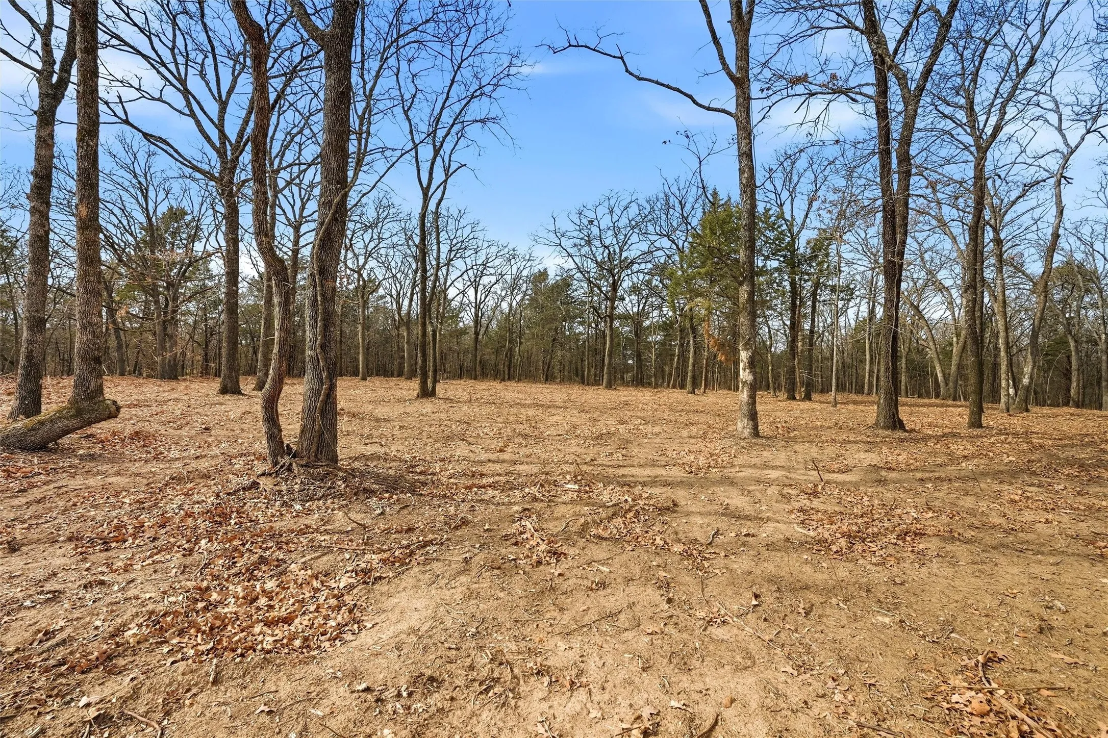 Improved Land For Sale in Grayson County , LOT 27 White Tail Way, Pottsboro, Texas 75076, 0, 0, Garage spaces, 0 Sqft, built in 0, Price $199,000, mls#21176847, Real Estate Agent in Pottsboro, Homes For Sale in Grayson county, Homes For Sale in Pottsboro, Realtor in Pottsboro Texas, Real Estate Brokerage Independent Realty Texas, Luminita Cordes Realtor