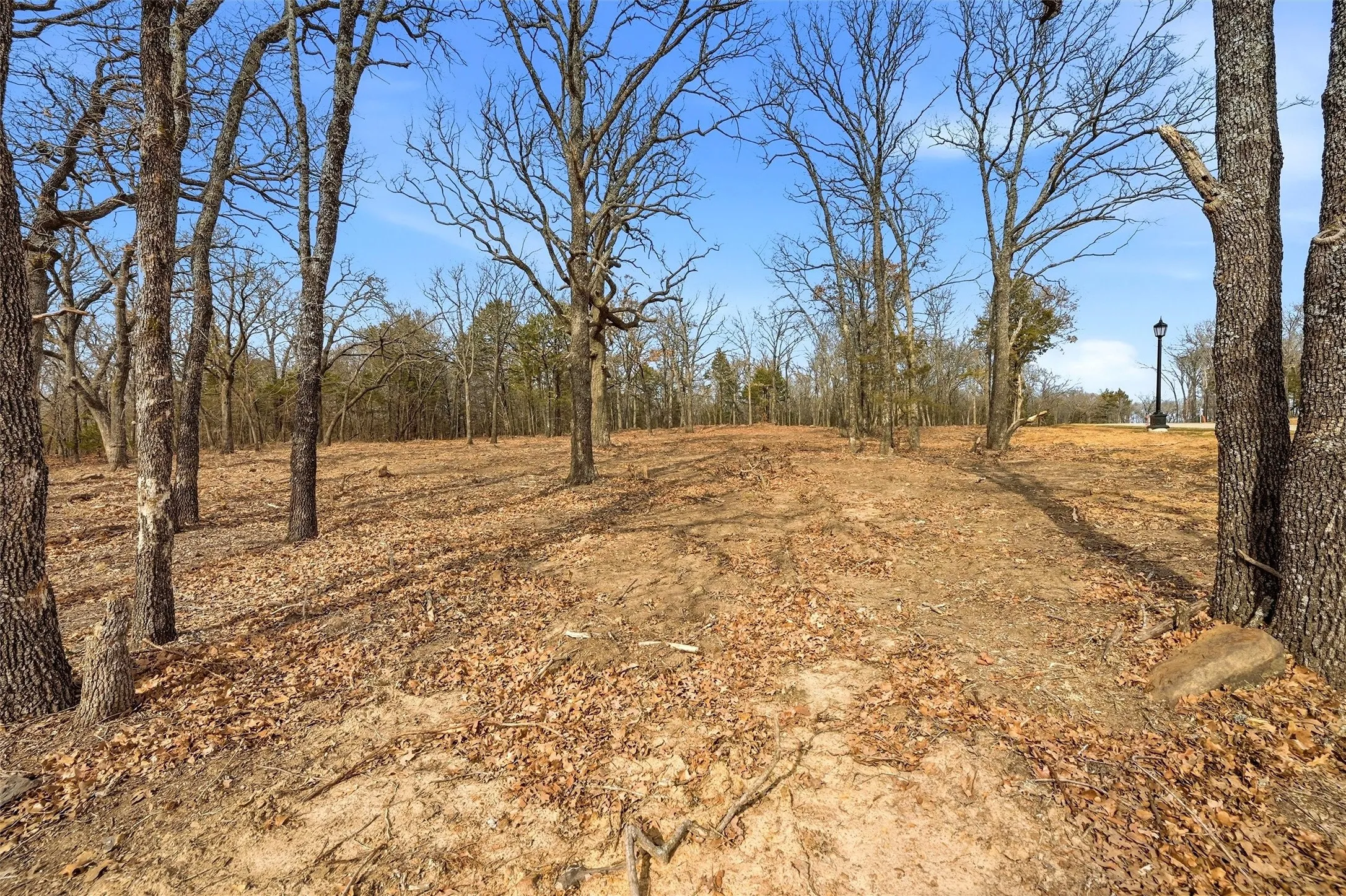 Improved Land For Sale in Grayson County , LOT 27 White Tail Way, Pottsboro, Texas 75076, 0, 0, Garage spaces, 0 Sqft, built in 0, Price $199,000, mls#21176847, Real Estate Agent in Pottsboro, Homes For Sale in Grayson county, Homes For Sale in Pottsboro, Realtor in Pottsboro Texas, Real Estate Brokerage Independent Realty Texas, Luminita Cordes Realtor