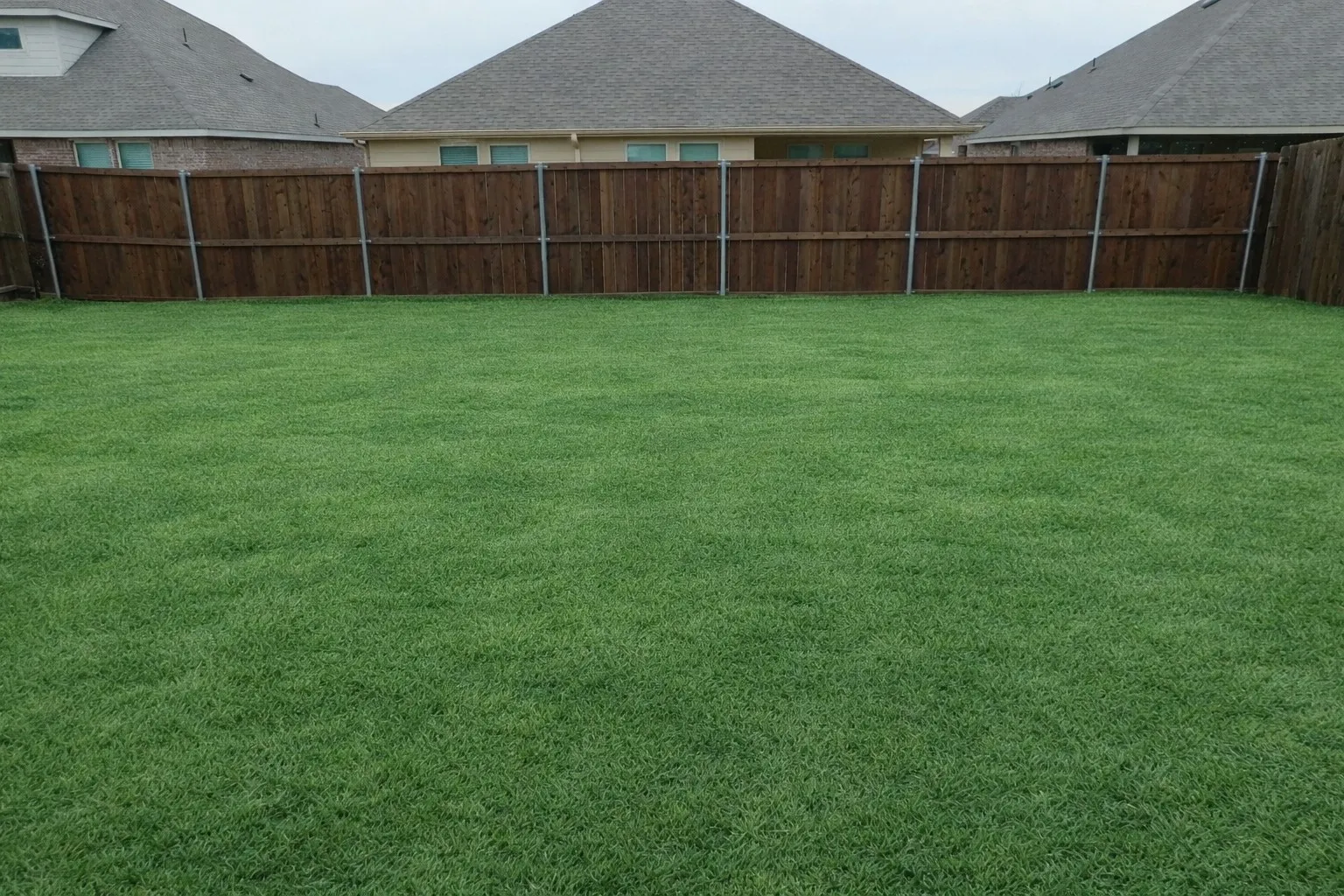Fenced back yard - AI grass
