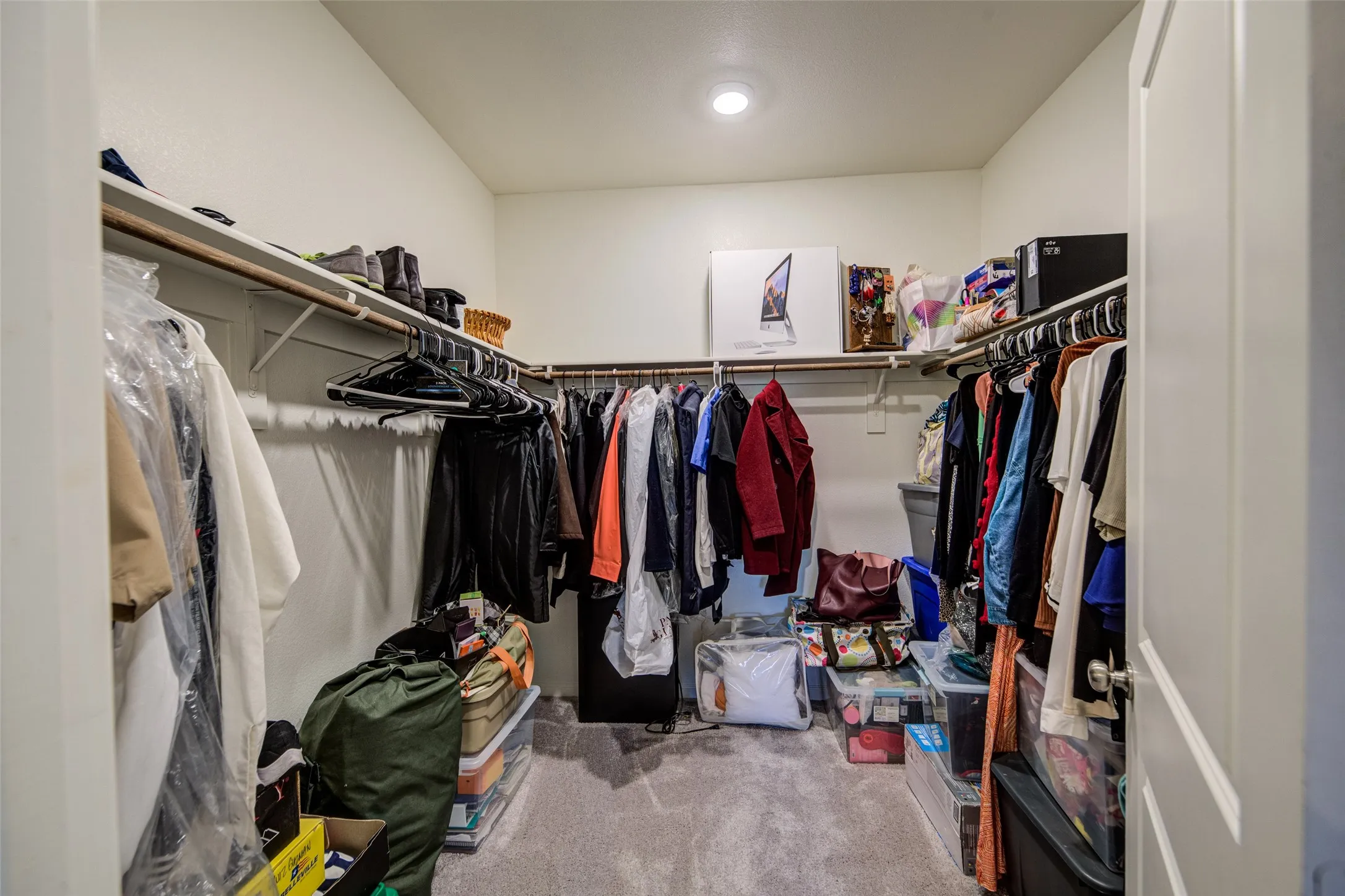 Walk in closet featuring light carpet