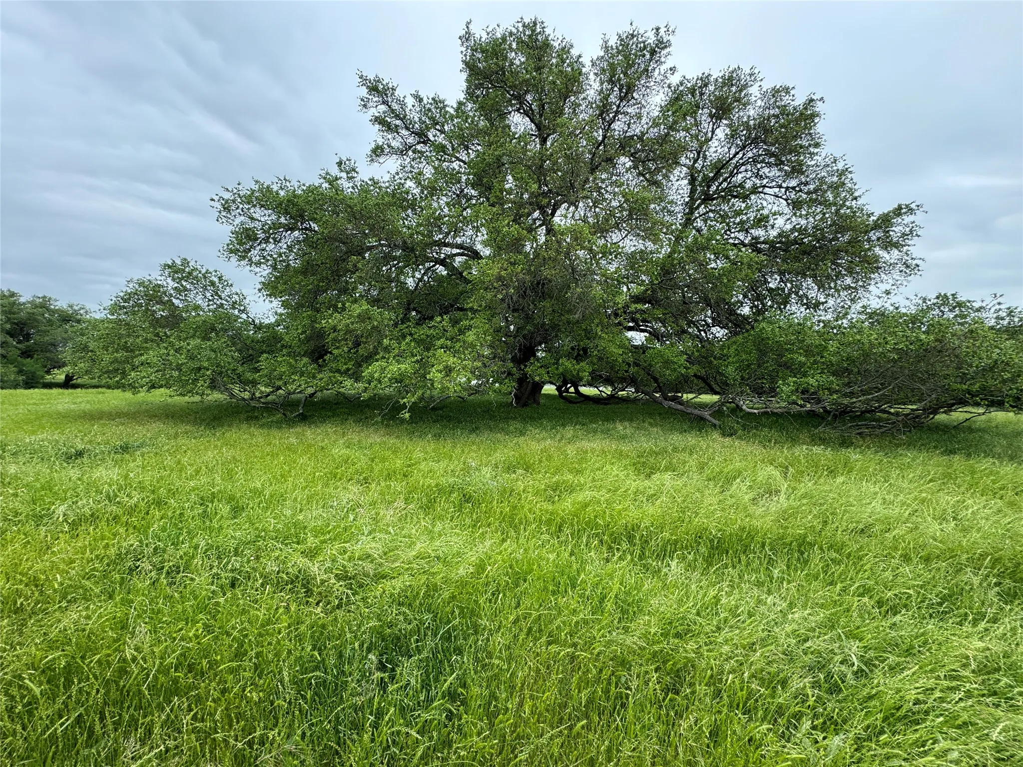 View of yard with a rural view