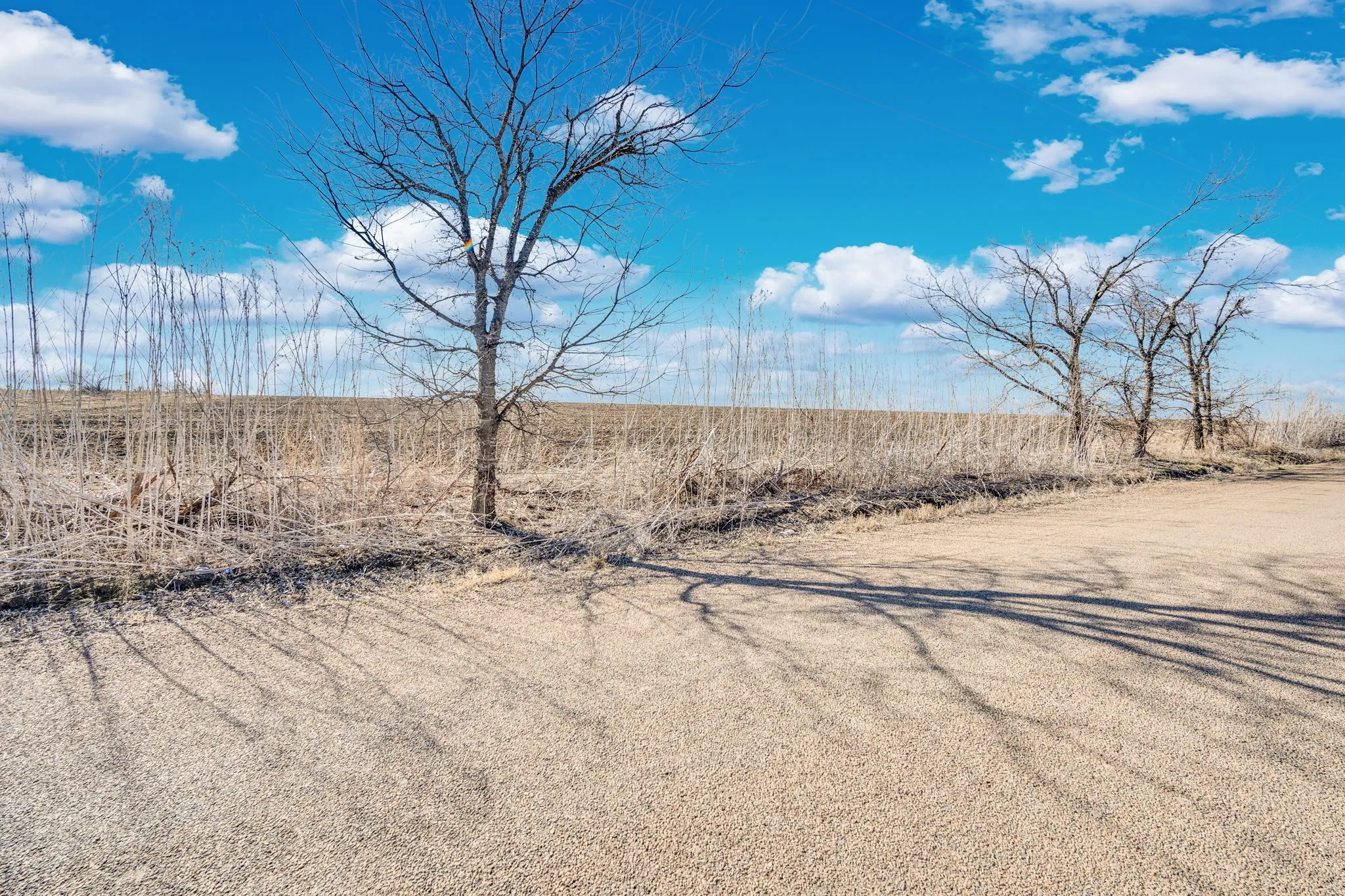 Unimproved Land For Sale in Ellis County , 000 Morgan Road, Italy, Texas 76651, 0, 0, Garage spaces, 0 Sqft, built in 0, mls#21176320, Real Estate Agent in Italy, Homes For Sale in Ellis county, Homes For Sale in Italy, Realtor in Italy Texas, Real Estate Brokerage Independent Realty Texas, Luminita Cordes Realtor