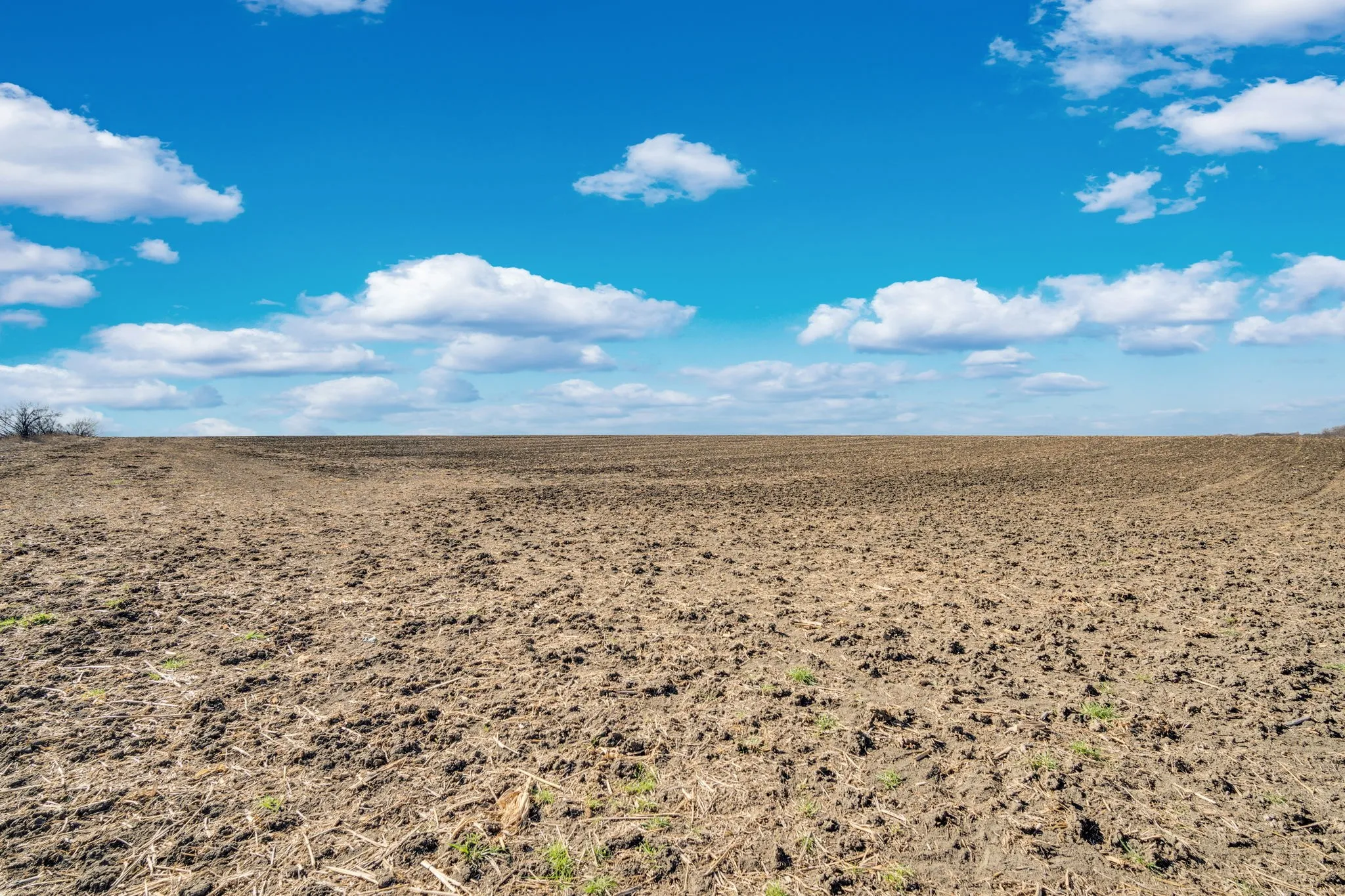 Unimproved Land For Sale in Ellis County , 000 Morgan Road, Italy, Texas 76651, 0, 0, Garage spaces, 0 Sqft, built in 0, mls#21176320, Real Estate Agent in Italy, Homes For Sale in Ellis county, Homes For Sale in Italy, Realtor in Italy Texas, Real Estate Brokerage Independent Realty Texas, Luminita Cordes Realtor