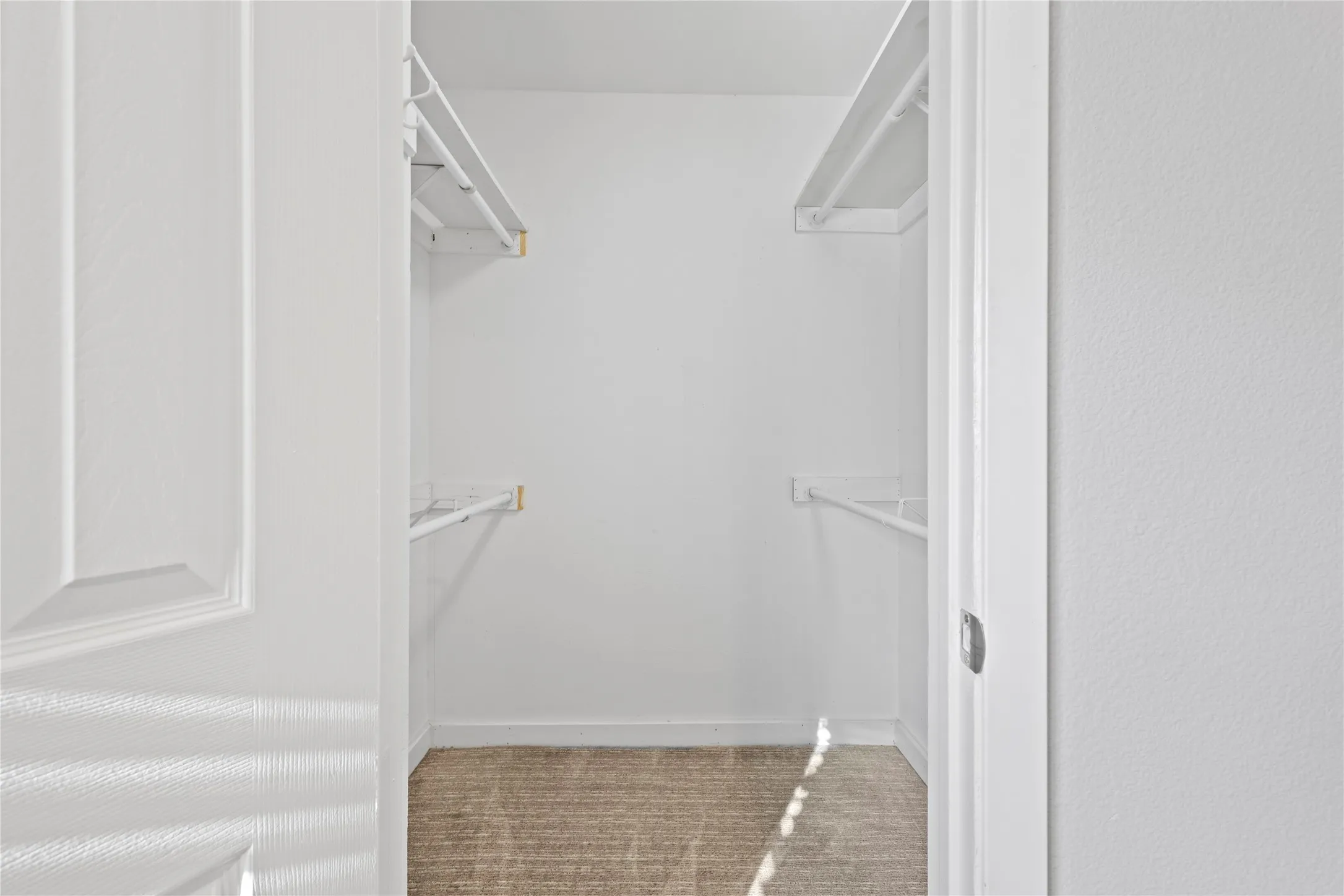 Walk in closet featuring carpet flooring