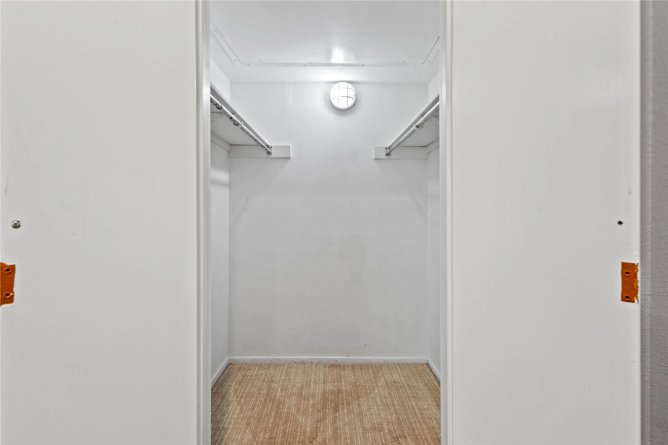 Spacious closet with light carpet