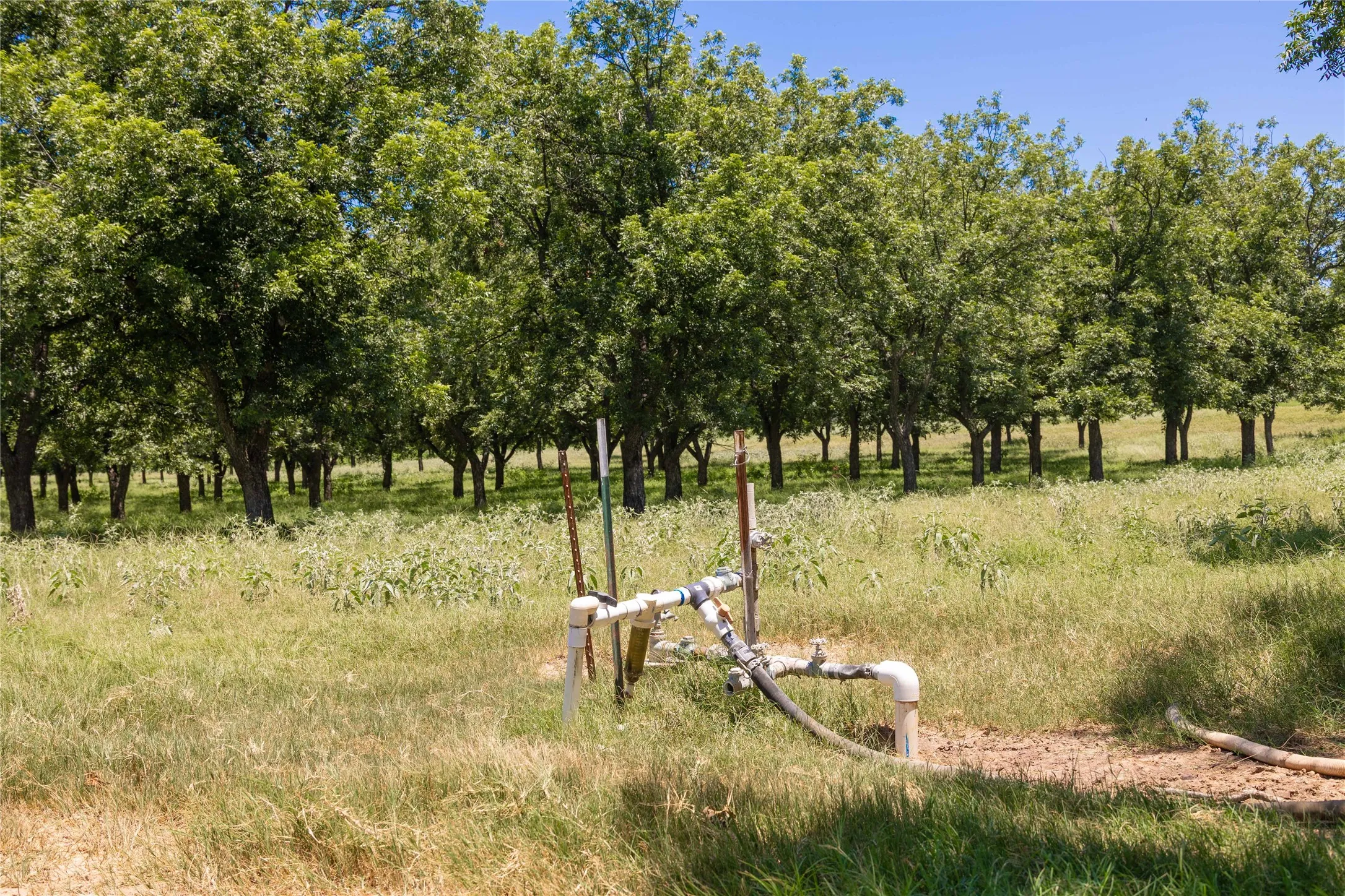 Warehouse For Sale in Comanche County , 164.08 Acres TBD Highway 2318, De Leon, Texas 76444, 0, 0, Garage spaces, 0 Sqft, built in 0, Price $1,632,596, mls#21178164, Real Estate Agent in De Leon, Homes For Sale in Comanche county, Homes For Sale in De Leon, Realtor in De Leon Texas, Real Estate Brokerage Independent Realty Texas, Luminita Cordes Realtor