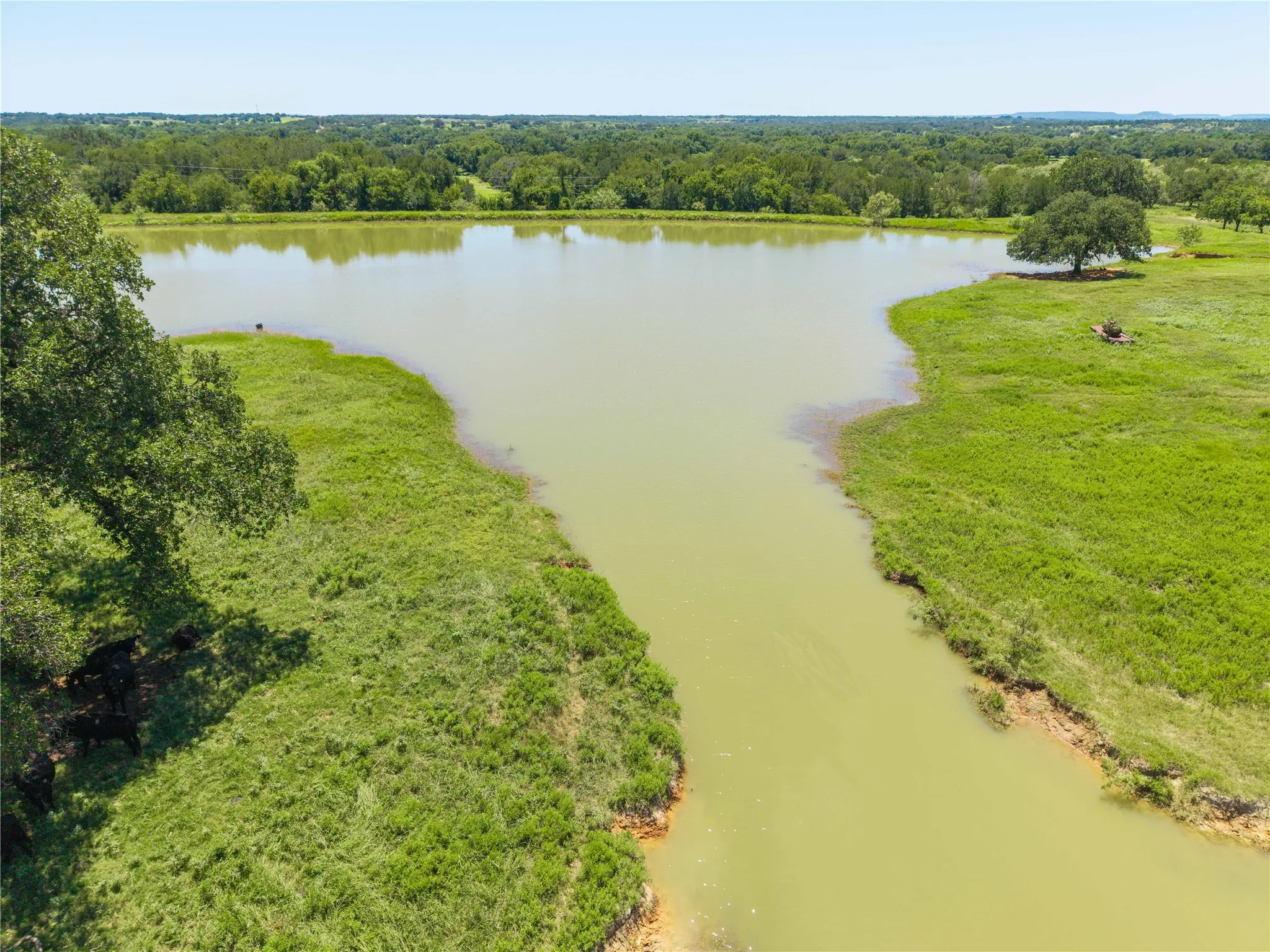 Warehouse For Sale in Comanche County , 164.08 Acres TBD Highway 2318, De Leon, Texas 76444, 0, 0, Garage spaces, 0 Sqft, built in 0, Price $1,632,596, mls#21178164, Real Estate Agent in De Leon, Homes For Sale in Comanche county, Homes For Sale in De Leon, Realtor in De Leon Texas, Real Estate Brokerage Independent Realty Texas, Luminita Cordes Realtor