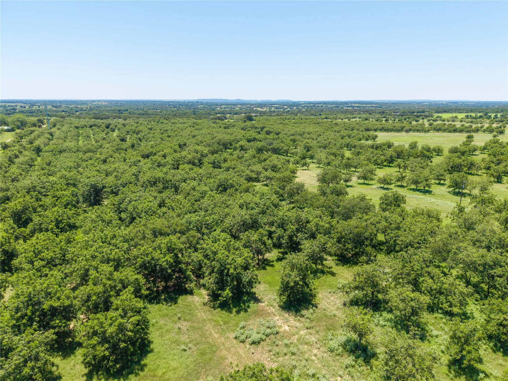 Warehouse For Sale in Comanche County , 164.08 Acres TBD Highway 2318, De Leon, Texas 76444, 0, 0, Garage spaces, 0 Sqft, built in 0, Price $1,632,596, mls#21178164, Real Estate Agent in De Leon, Homes For Sale in Comanche county, Homes For Sale in De Leon, Realtor in De Leon Texas, Real Estate Brokerage Independent Realty Texas, Luminita Cordes Realtor