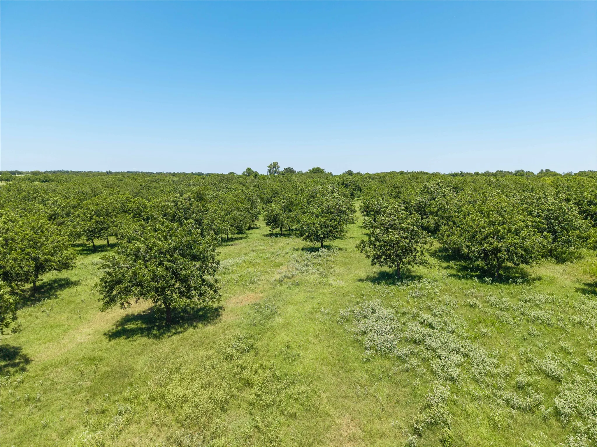 Warehouse For Sale in Comanche County , 164.08 Acres TBD Highway 2318, De Leon, Texas 76444, 0, 0, Garage spaces, 0 Sqft, built in 0, Price $1,632,596, mls#21178164, Real Estate Agent in De Leon, Homes For Sale in Comanche county, Homes For Sale in De Leon, Realtor in De Leon Texas, Real Estate Brokerage Independent Realty Texas, Luminita Cordes Realtor