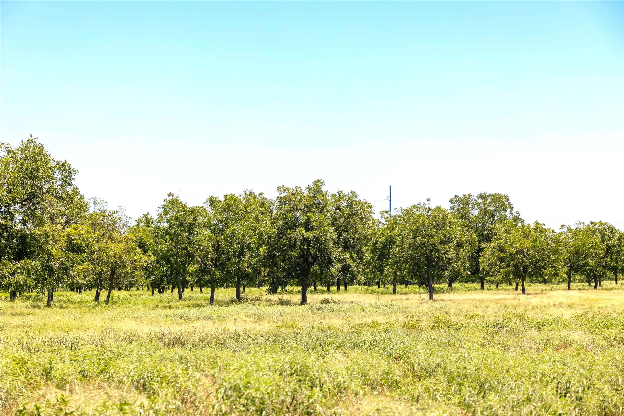 Warehouse For Sale in Comanche County , 164.08 Acres TBD Highway 2318, De Leon, Texas 76444, 0, 0, Garage spaces, 0 Sqft, built in 0, Price $1,632,596, mls#21178164, Real Estate Agent in De Leon, Homes For Sale in Comanche county, Homes For Sale in De Leon, Realtor in De Leon Texas, Real Estate Brokerage Independent Realty Texas, Luminita Cordes Realtor