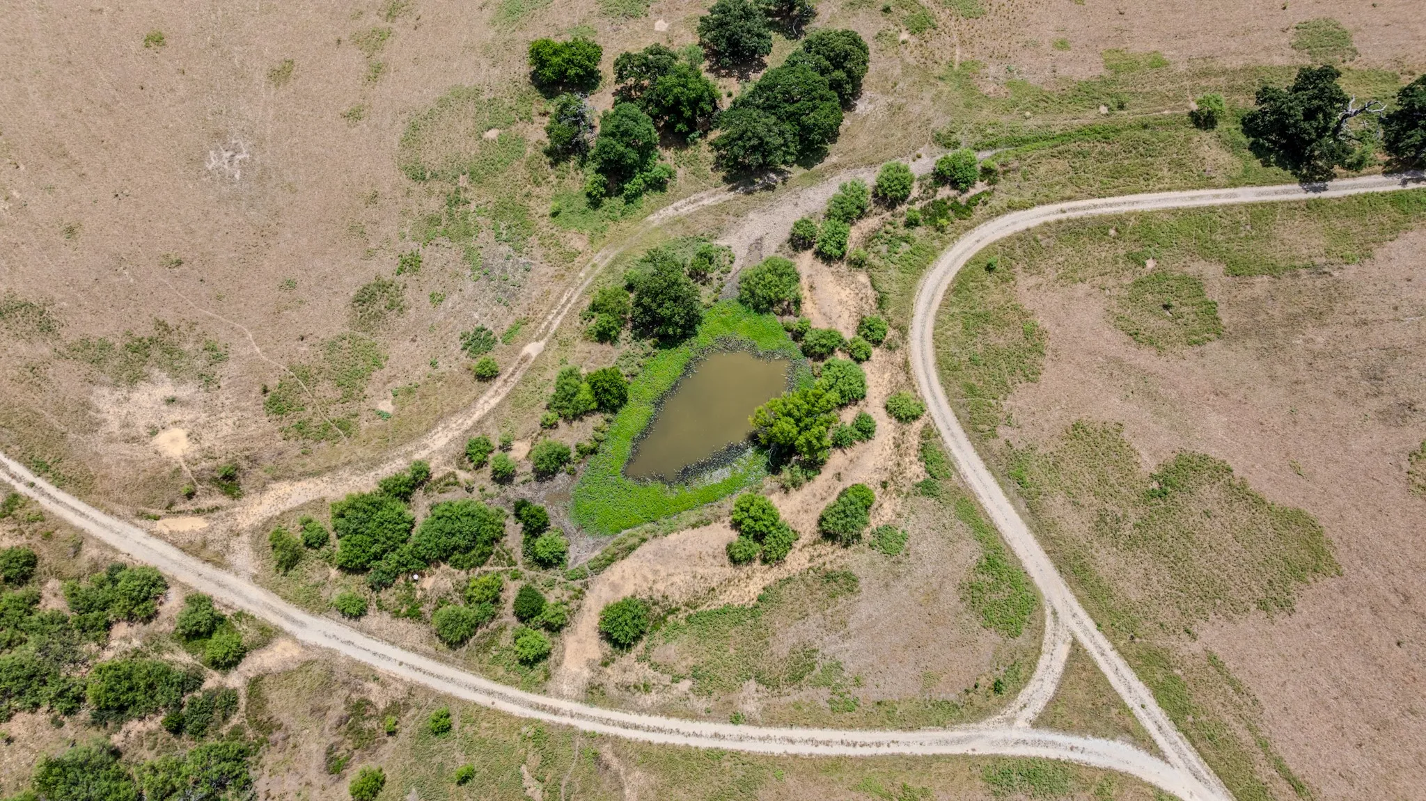 Unimproved Land For Sale in Jack County , TBD Cement Mountain Road, Bryson, Texas 76427, 0, 0, Garage spaces, 0 Sqft, built in 0, mls#21163502, Real Estate Agent in Bryson, Homes For Sale in Jack county, Homes For Sale in Bryson, Realtor in Bryson Texas, Real Estate Brokerage Independent Realty Texas, Luminita Cordes Realtor