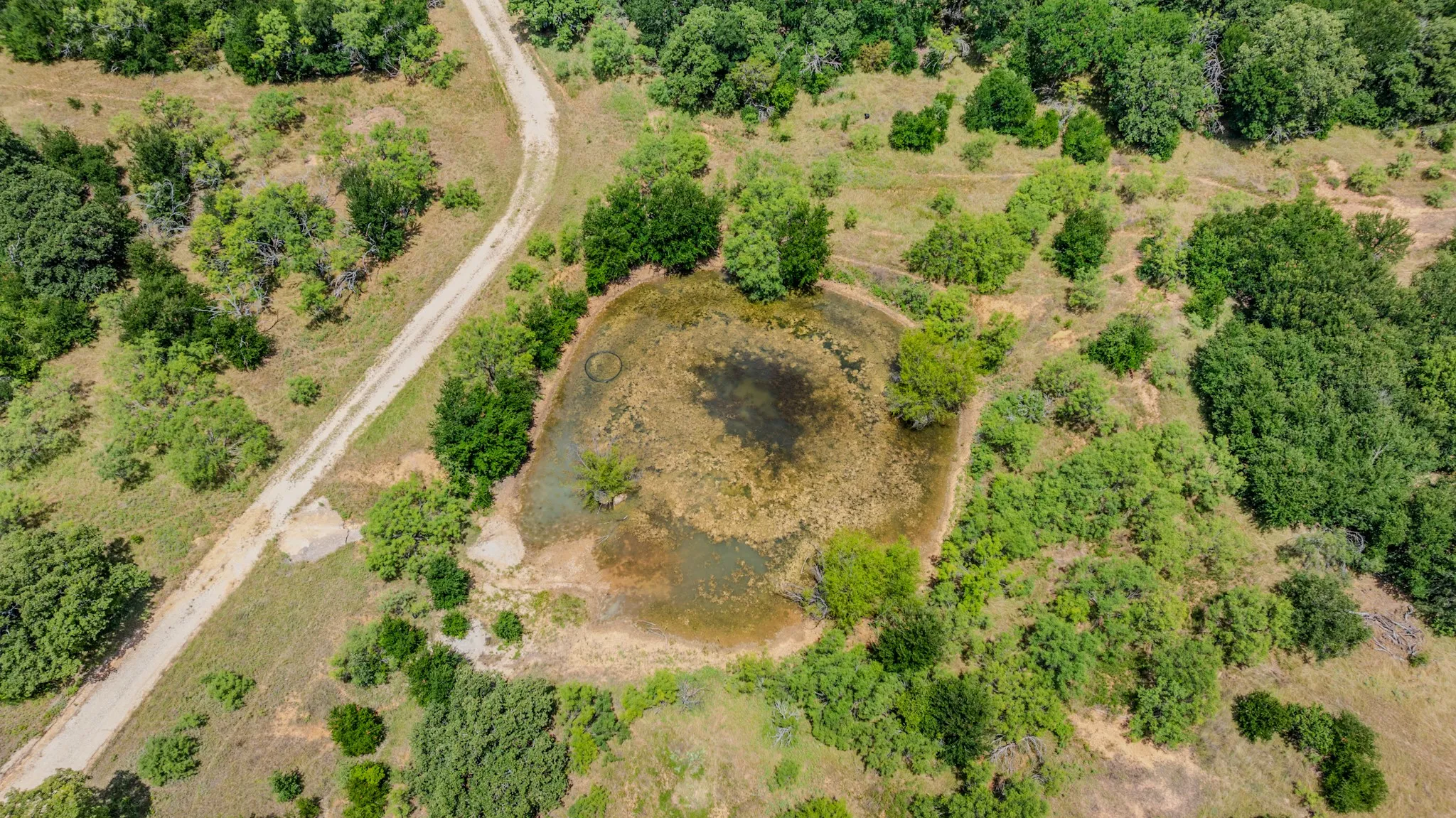 Unimproved Land For Sale in Jack County , TBD Cement Mountain Road, Bryson, Texas 76427, 0, 0, Garage spaces, 0 Sqft, built in 0, mls#21163502, Real Estate Agent in Bryson, Homes For Sale in Jack county, Homes For Sale in Bryson, Realtor in Bryson Texas, Real Estate Brokerage Independent Realty Texas, Luminita Cordes Realtor