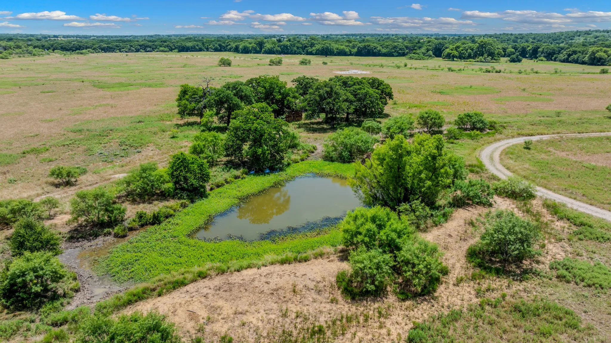 Unimproved Land For Sale in Jack County , TBD Cement Mountain Road, Bryson, Texas 76427, 0, 0, Garage spaces, 0 Sqft, built in 0, mls#21163502, Real Estate Agent in Bryson, Homes For Sale in Jack county, Homes For Sale in Bryson, Realtor in Bryson Texas, Real Estate Brokerage Independent Realty Texas, Luminita Cordes Realtor
