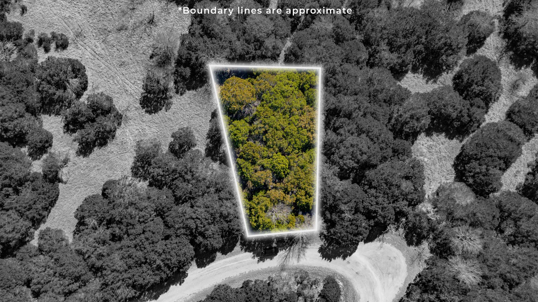 Unimproved Land For Sale in Hill County , 8077 Southhill Drive, Whitney, Texas 76692, 0, 0, Garage spaces, 0 Sqft, built in 0, Price $4,500, mls#21165983, Real Estate Agent in Whitney, Homes For Sale in Hill county, Homes For Sale in Whitney, Realtor in Whitney Texas, Real Estate Brokerage Independent Realty Texas, Luminita Cordes Realtor