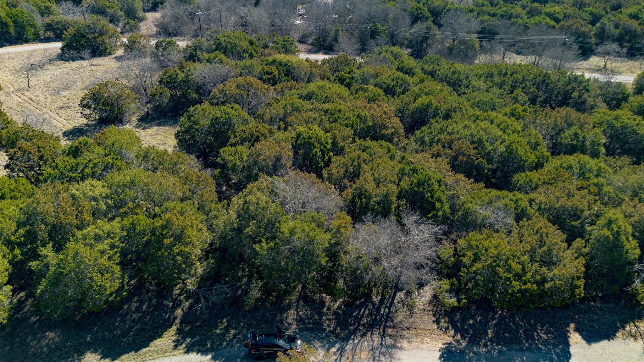 Unimproved Land For Sale in Hill County , 8077 Southhill Drive, Whitney, Texas 76692, 0, 0, Garage spaces, 0 Sqft, built in 0, Price $4,500, mls#21165983, Real Estate Agent in Whitney, Homes For Sale in Hill county, Homes For Sale in Whitney, Realtor in Whitney Texas, Real Estate Brokerage Independent Realty Texas, Luminita Cordes Realtor