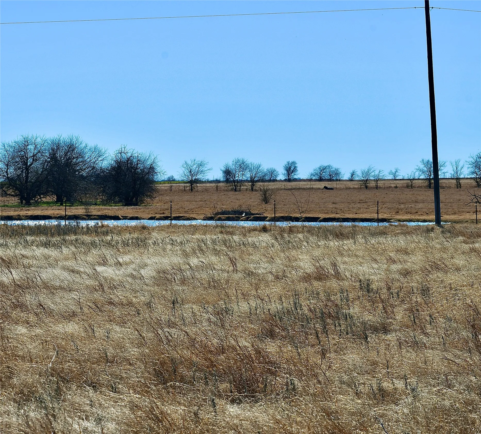 Unimproved Land For Sale in Cooke County , 000 County Road 312, Gainesville, Texas 76240, 0, 0, Garage spaces, 0 Sqft, built in 0, mls#21177776, Real Estate Agent in Gainesville, Homes For Sale in Cooke county, Homes For Sale in Gainesville, Realtor in Gainesville Texas, Real Estate Brokerage Independent Realty Texas, Luminita Cordes Realtor