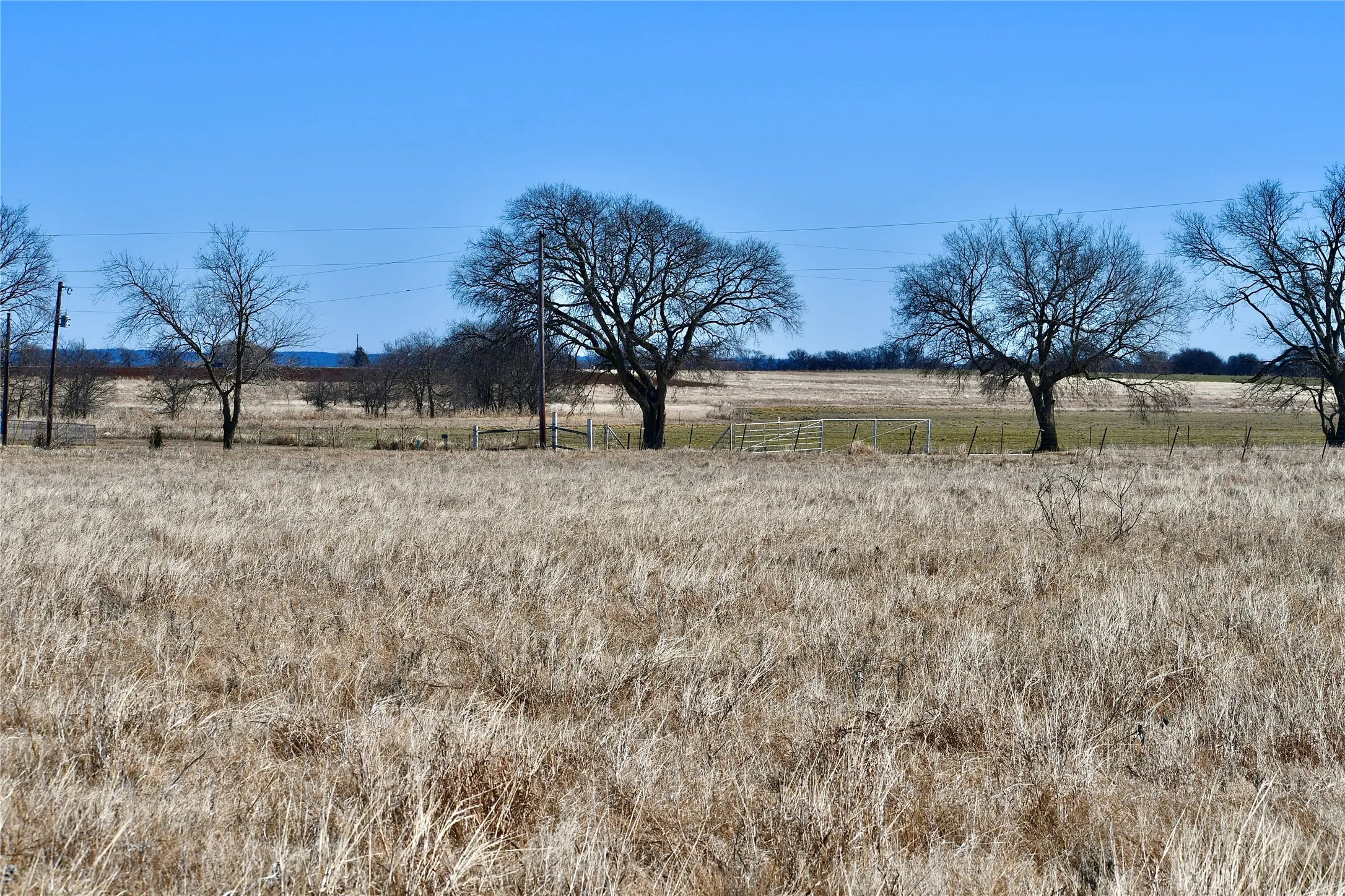 Unimproved Land For Sale in Cooke County , 000 County Road 312, Gainesville, Texas 76240, 0, 0, Garage spaces, 0 Sqft, built in 0, mls#21177776, Real Estate Agent in Gainesville, Homes For Sale in Cooke county, Homes For Sale in Gainesville, Realtor in Gainesville Texas, Real Estate Brokerage Independent Realty Texas, Luminita Cordes Realtor