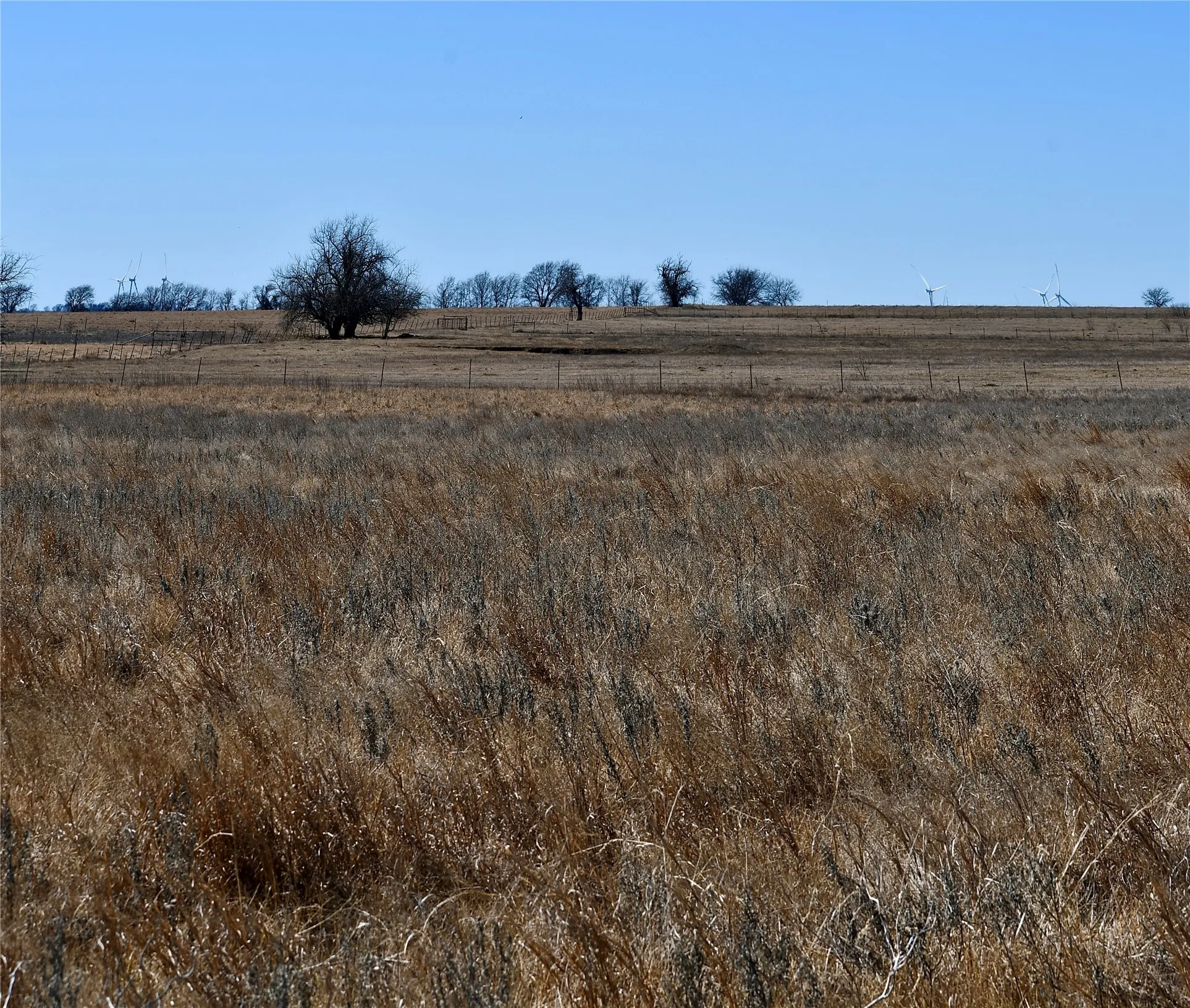Unimproved Land For Sale in Cooke County , 000 County Road 312, Gainesville, Texas 76240, 0, 0, Garage spaces, 0 Sqft, built in 0, mls#21177776, Real Estate Agent in Gainesville, Homes For Sale in Cooke county, Homes For Sale in Gainesville, Realtor in Gainesville Texas, Real Estate Brokerage Independent Realty Texas, Luminita Cordes Realtor