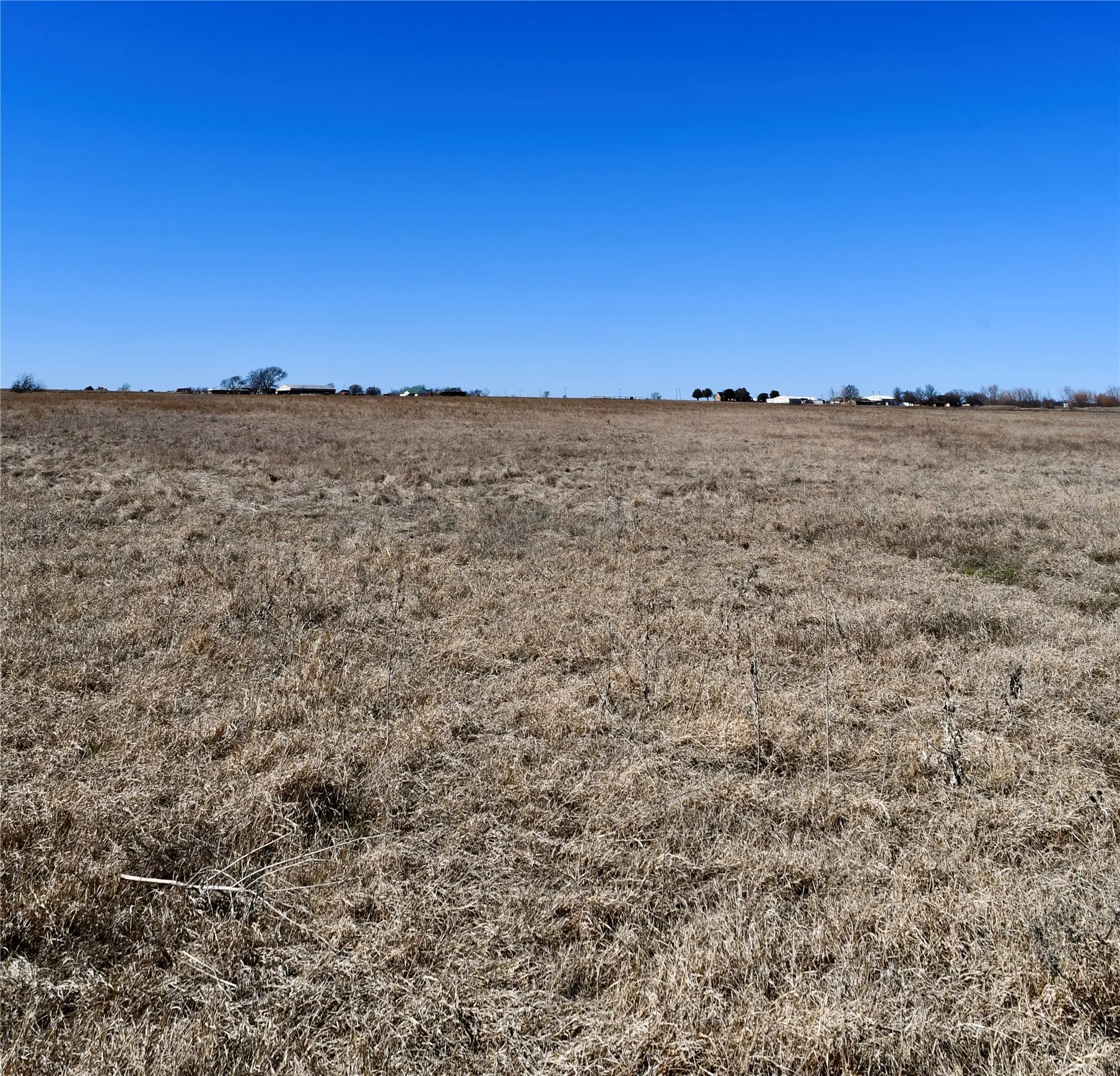 Unimproved Land For Sale in Cooke County , 000 County Road 312, Gainesville, Texas 76240, 0, 0, Garage spaces, 0 Sqft, built in 0, mls#21177776, Real Estate Agent in Gainesville, Homes For Sale in Cooke county, Homes For Sale in Gainesville, Realtor in Gainesville Texas, Real Estate Brokerage Independent Realty Texas, Luminita Cordes Realtor