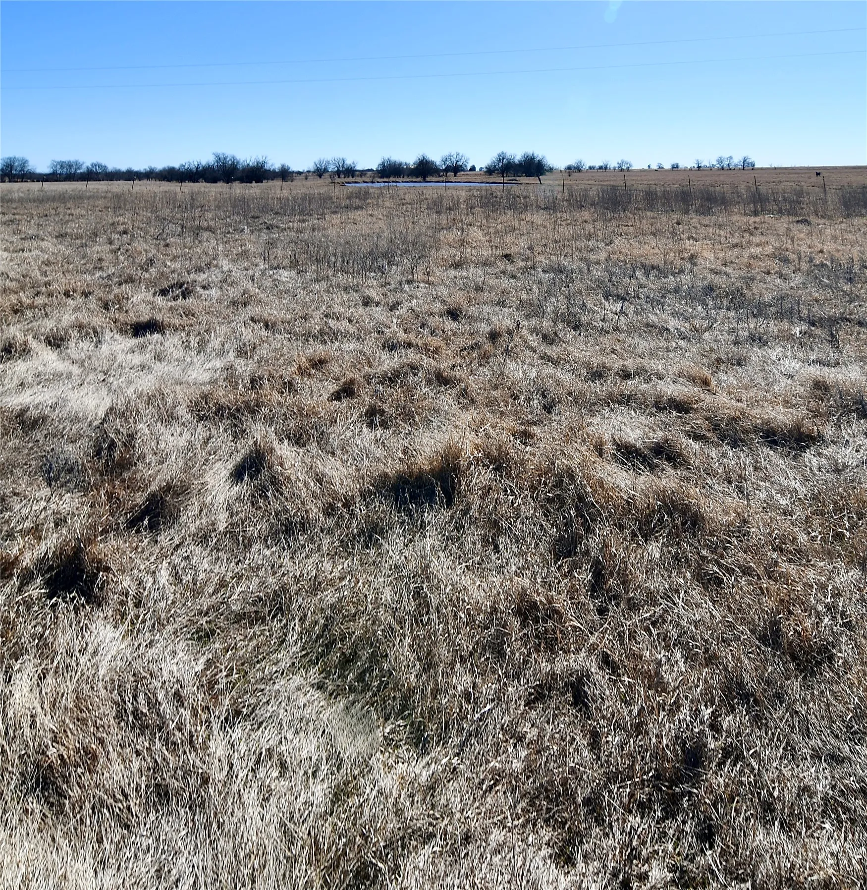 Unimproved Land For Sale in Cooke County , 000 County Road 312, Gainesville, Texas 76240, 0, 0, Garage spaces, 0 Sqft, built in 0, mls#21177776, Real Estate Agent in Gainesville, Homes For Sale in Cooke county, Homes For Sale in Gainesville, Realtor in Gainesville Texas, Real Estate Brokerage Independent Realty Texas, Luminita Cordes Realtor