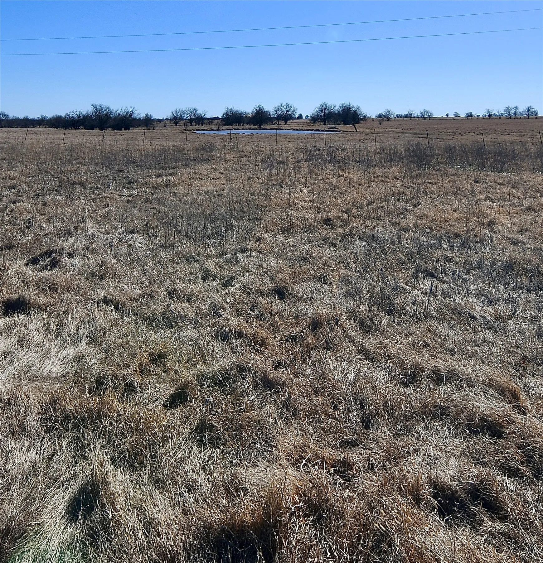 Unimproved Land For Sale in Cooke County , 000 County Road 312, Gainesville, Texas 76240, 0, 0, Garage spaces, 0 Sqft, built in 0, mls#21177776, Real Estate Agent in Gainesville, Homes For Sale in Cooke county, Homes For Sale in Gainesville, Realtor in Gainesville Texas, Real Estate Brokerage Independent Realty Texas, Luminita Cordes Realtor
