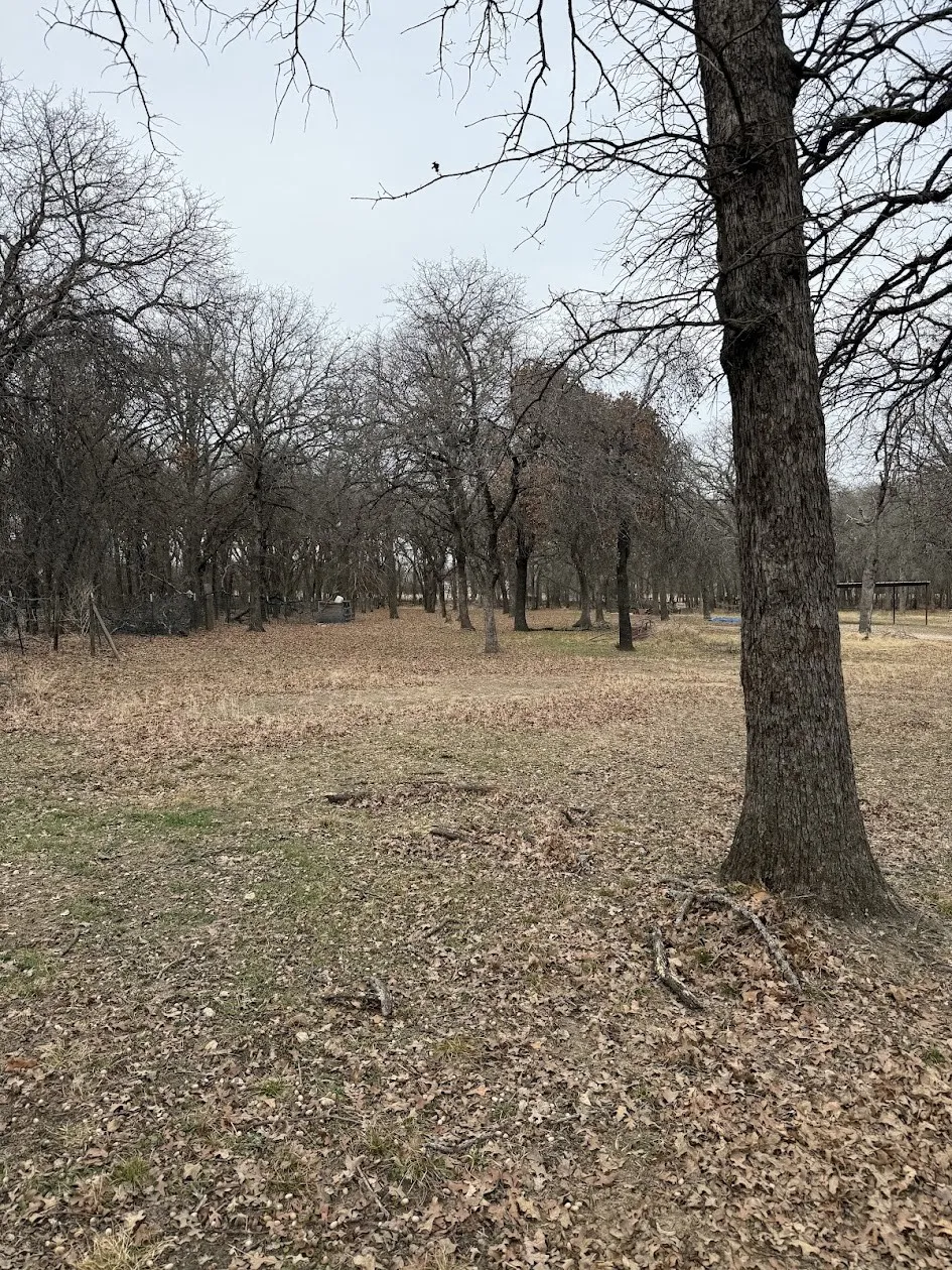 Unimproved Land For Sale in Tarrant County , TBD-1 Kimbrough Road, Azle, Texas 76020, 0, 0, Garage spaces, 0 Sqft, built in 0, Price $144,000, mls#21176167, Real Estate Agent in Azle, Homes For Sale in Tarrant county, Homes For Sale in Azle, Realtor in Azle Texas, Real Estate Brokerage Independent Realty Texas, Luminita Cordes Realtor
