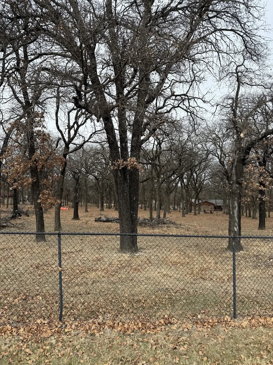 Unimproved Land For Sale in Tarrant County , TBD-3 Kimbrough Road, Azle, Texas 76020, 0, 0, Garage spaces, 0 Sqft, built in 0, Price $194,000, mls#21176226, Real Estate Agent in Azle, Homes For Sale in Tarrant county, Homes For Sale in Azle, Realtor in Azle Texas, Real Estate Brokerage Independent Realty Texas, Luminita Cordes Realtor