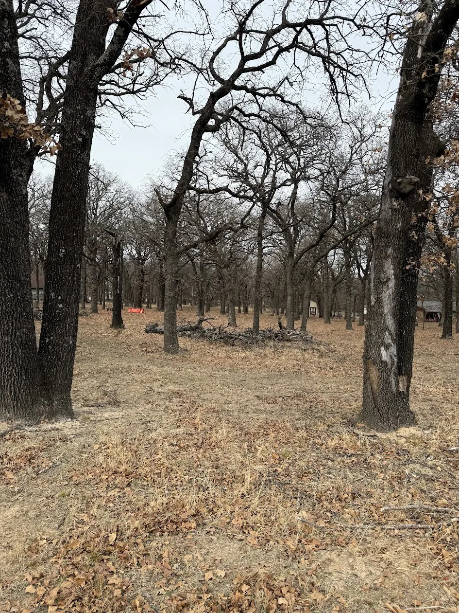Unimproved Land For Sale in Tarrant County , TBD-3 Kimbrough Road, Azle, Texas 76020, 0, 0, Garage spaces, 0 Sqft, built in 0, Price $194,000, mls#21176226, Real Estate Agent in Azle, Homes For Sale in Tarrant county, Homes For Sale in Azle, Realtor in Azle Texas, Real Estate Brokerage Independent Realty Texas, Luminita Cordes Realtor