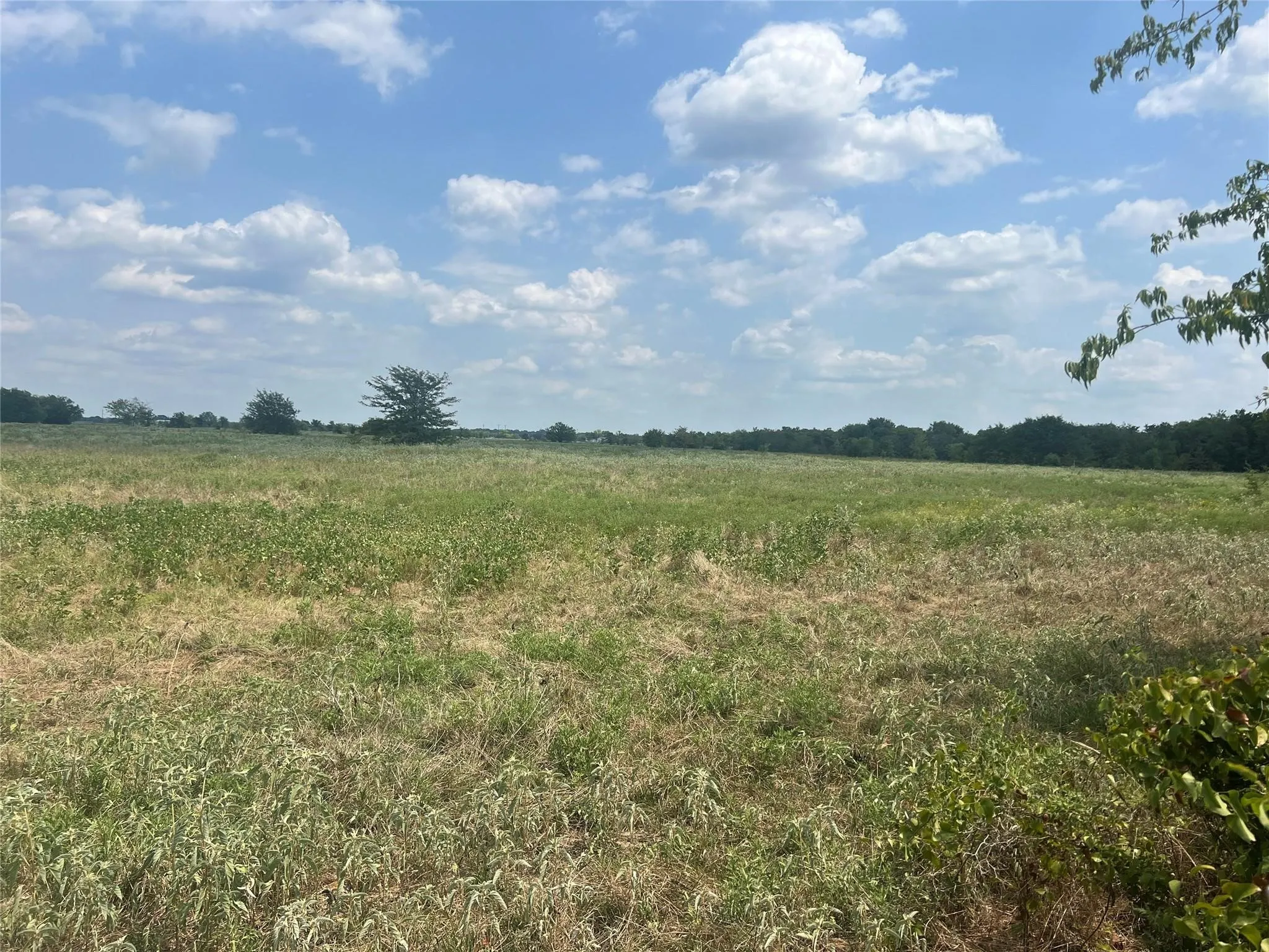 Unimproved Land For Sale in Hunt County , 22+ Fm-513, Campbell, Texas 75422, 0, 0, Garage spaces, 0 Sqft, built in 0, mls#21175968, Real Estate Agent in Campbell, Homes For Sale in Hunt county, Homes For Sale in Campbell, Realtor in Campbell Texas, Real Estate Brokerage Independent Realty Texas, Luminita Cordes Realtor