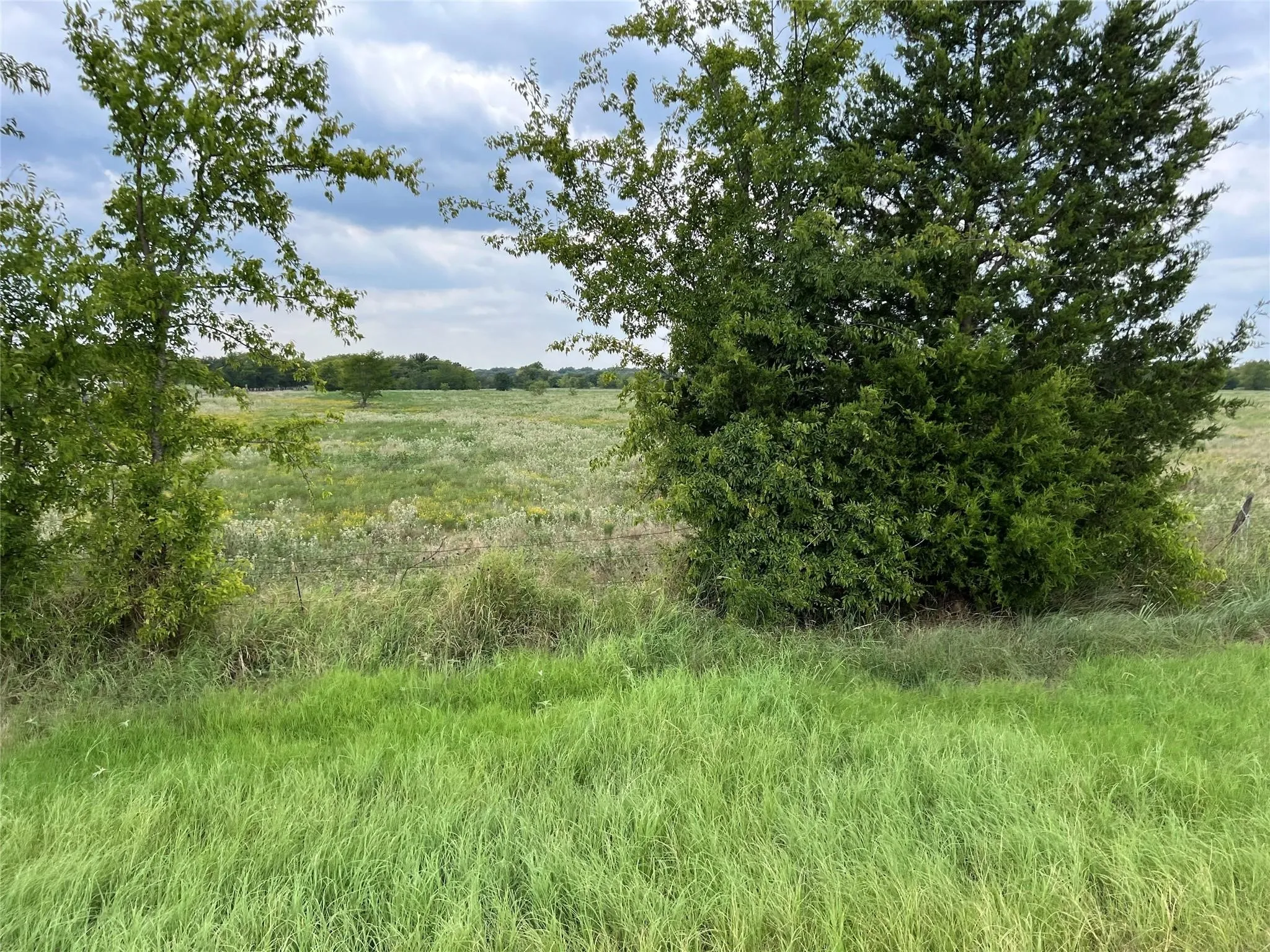 Unimproved Land For Sale in Hunt County , 22+ Fm-513, Campbell, Texas 75422, 0, 0, Garage spaces, 0 Sqft, built in 0, mls#21175968, Real Estate Agent in Campbell, Homes For Sale in Hunt county, Homes For Sale in Campbell, Realtor in Campbell Texas, Real Estate Brokerage Independent Realty Texas, Luminita Cordes Realtor