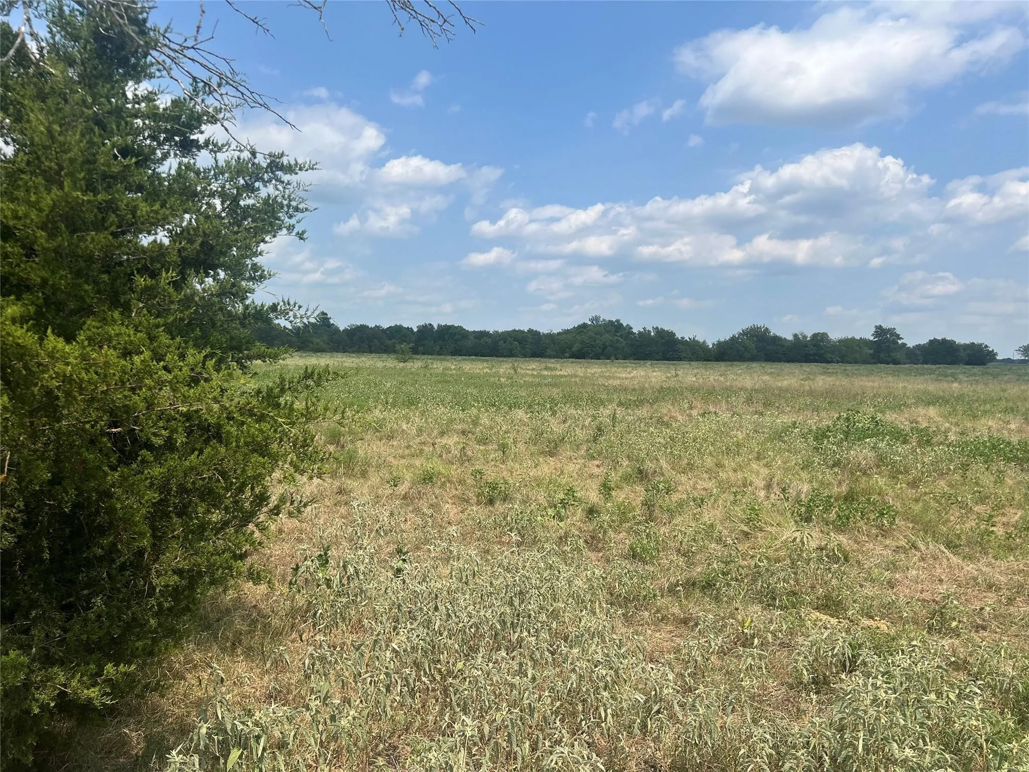Unimproved Land For Sale in Hunt County , 22+ Fm-513, Campbell, Texas 75422, 0, 0, Garage spaces, 0 Sqft, built in 0, mls#21175968, Real Estate Agent in Campbell, Homes For Sale in Hunt county, Homes For Sale in Campbell, Realtor in Campbell Texas, Real Estate Brokerage Independent Realty Texas, Luminita Cordes Realtor